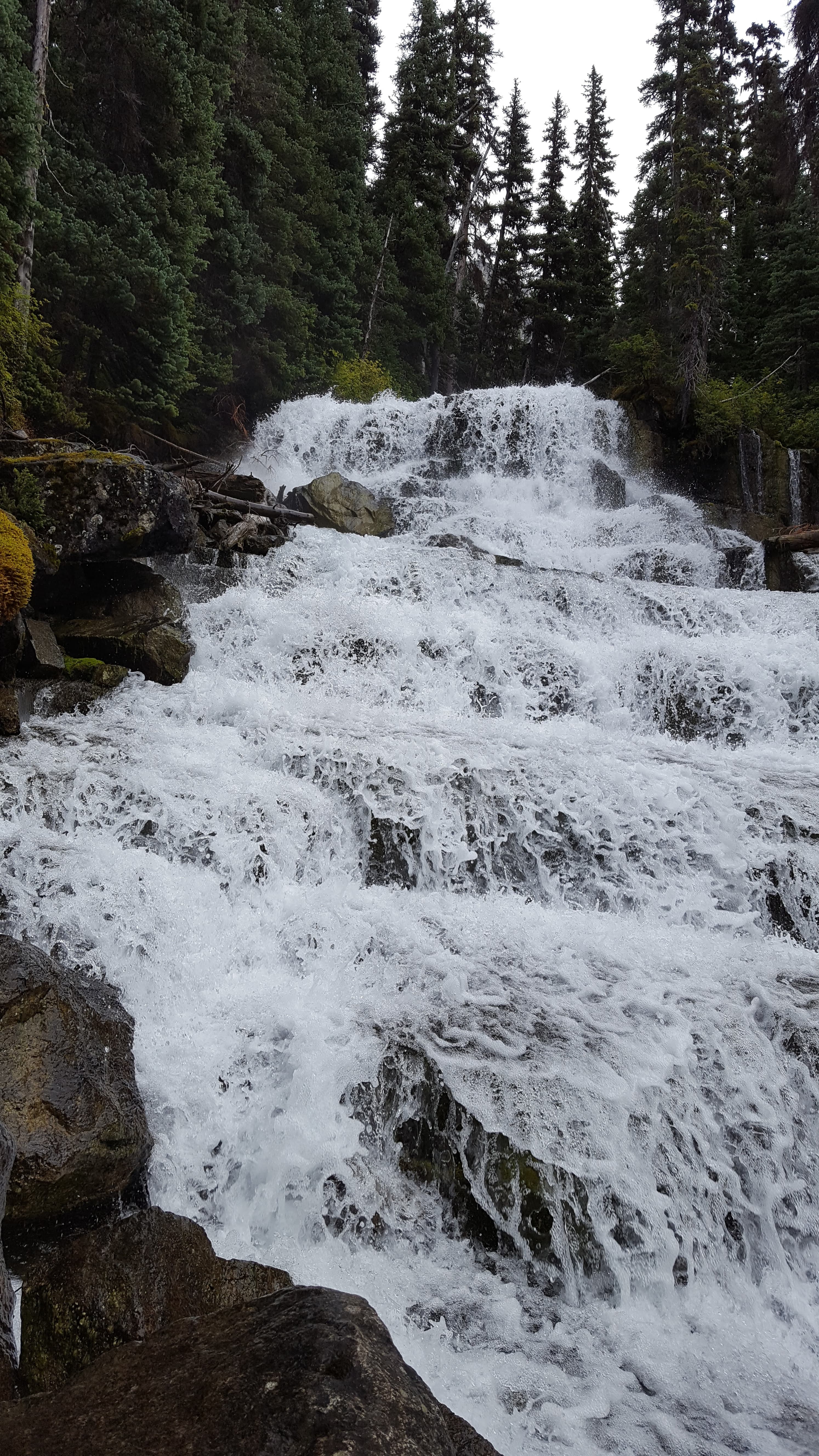 North Shore mountains from Burrard Inlet. The mountains are 15 minutes from downtown; this is not a metaphor, it's the bus schedule.