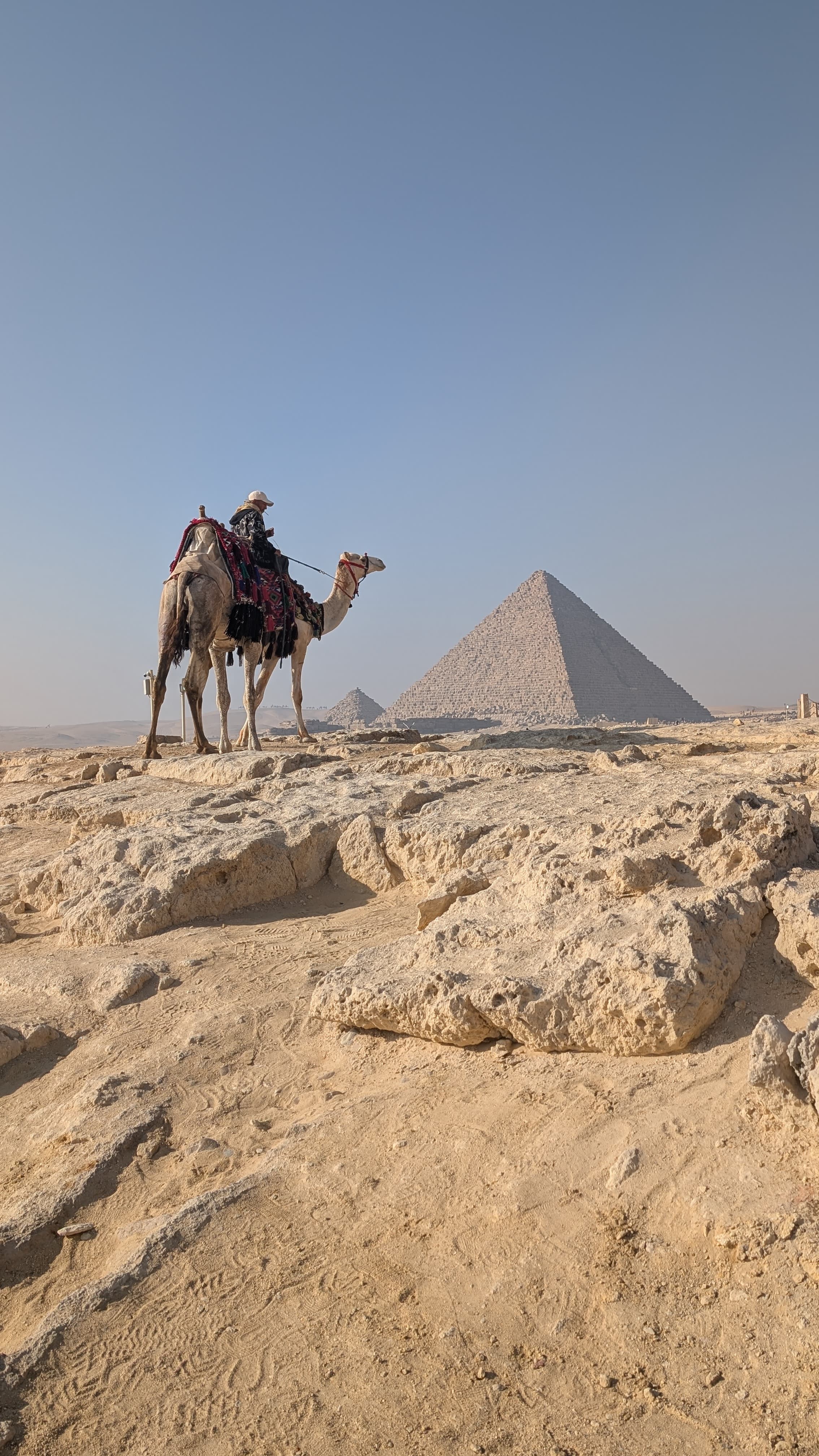 Camel rider at the Pyramids of Giza with the ancient monuments rising behind