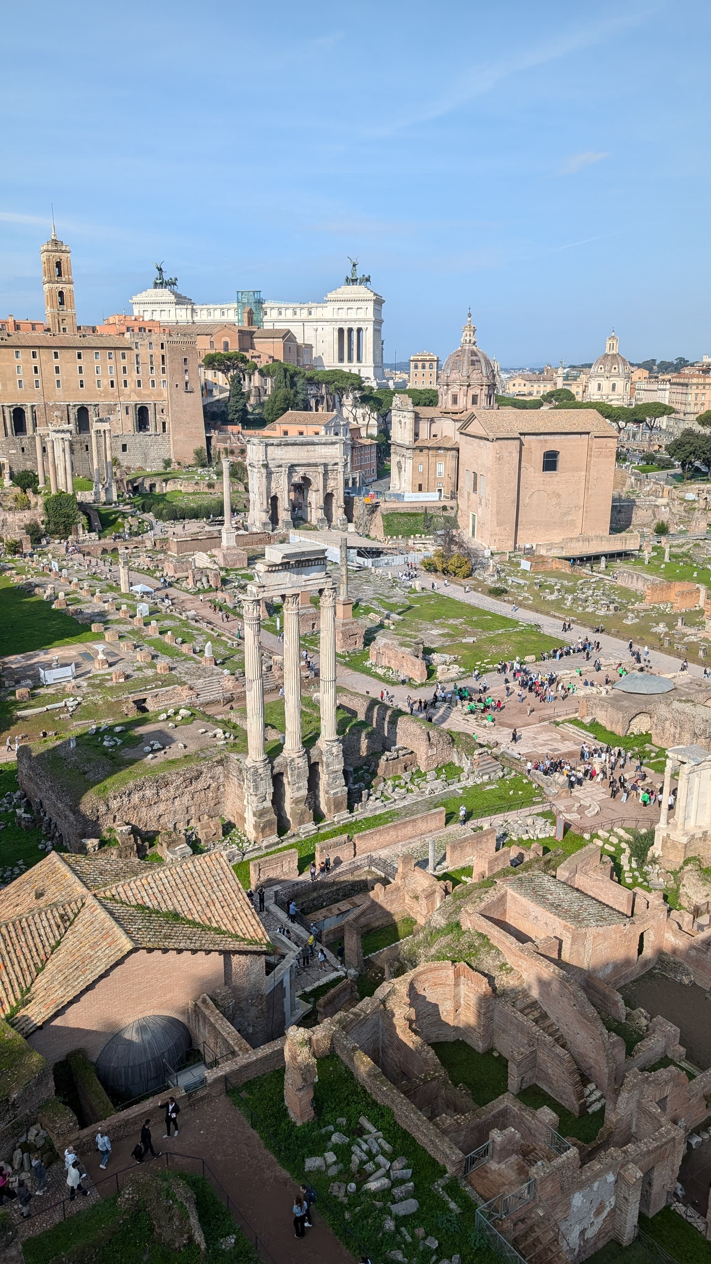 The view from the top of St Peter's dome. Terracotta rooftops and umbrella pines in every direction.