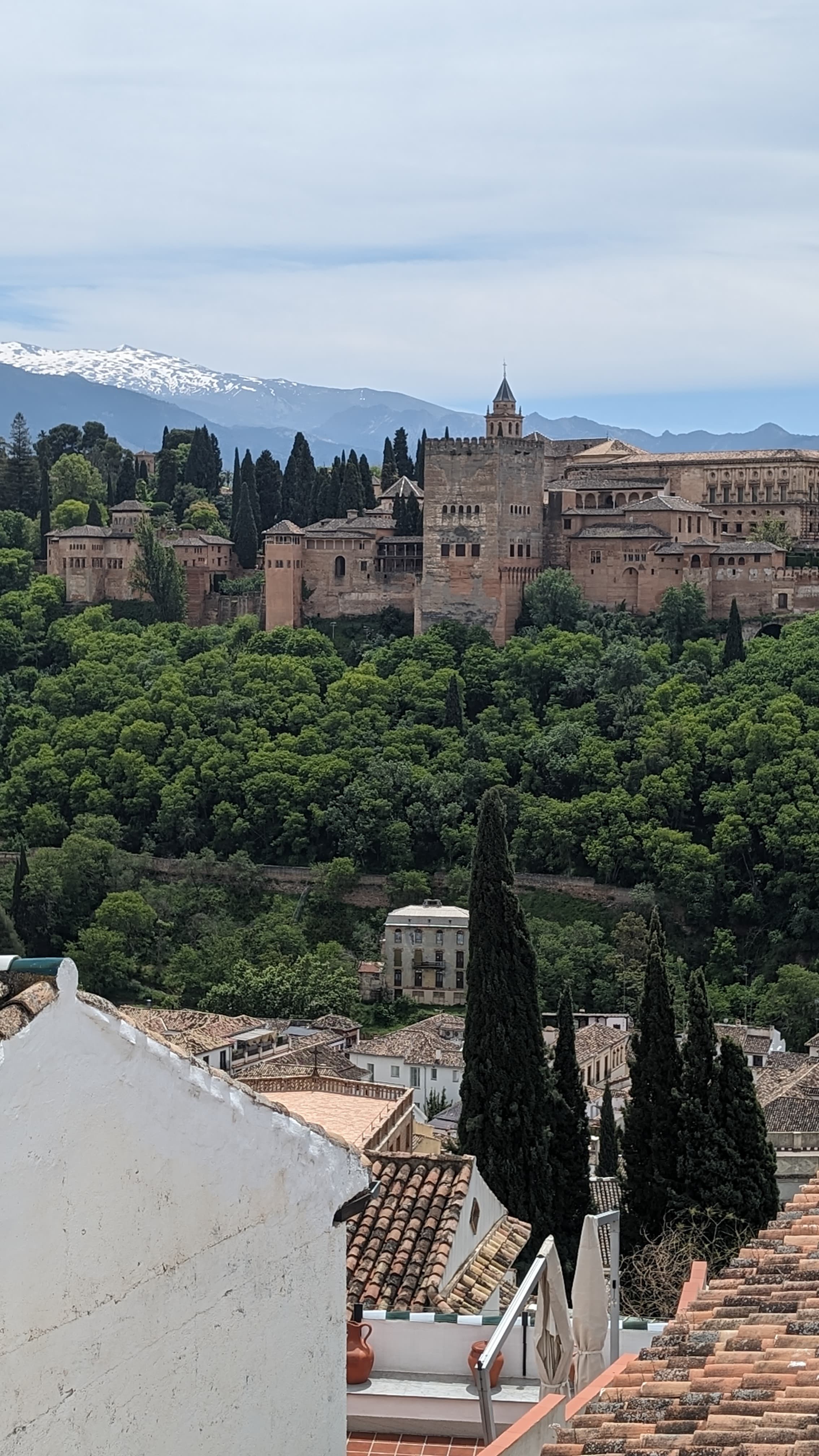 Albaicín lanes at midday. White walls, cat on a step, no tourists on this particular corner.
