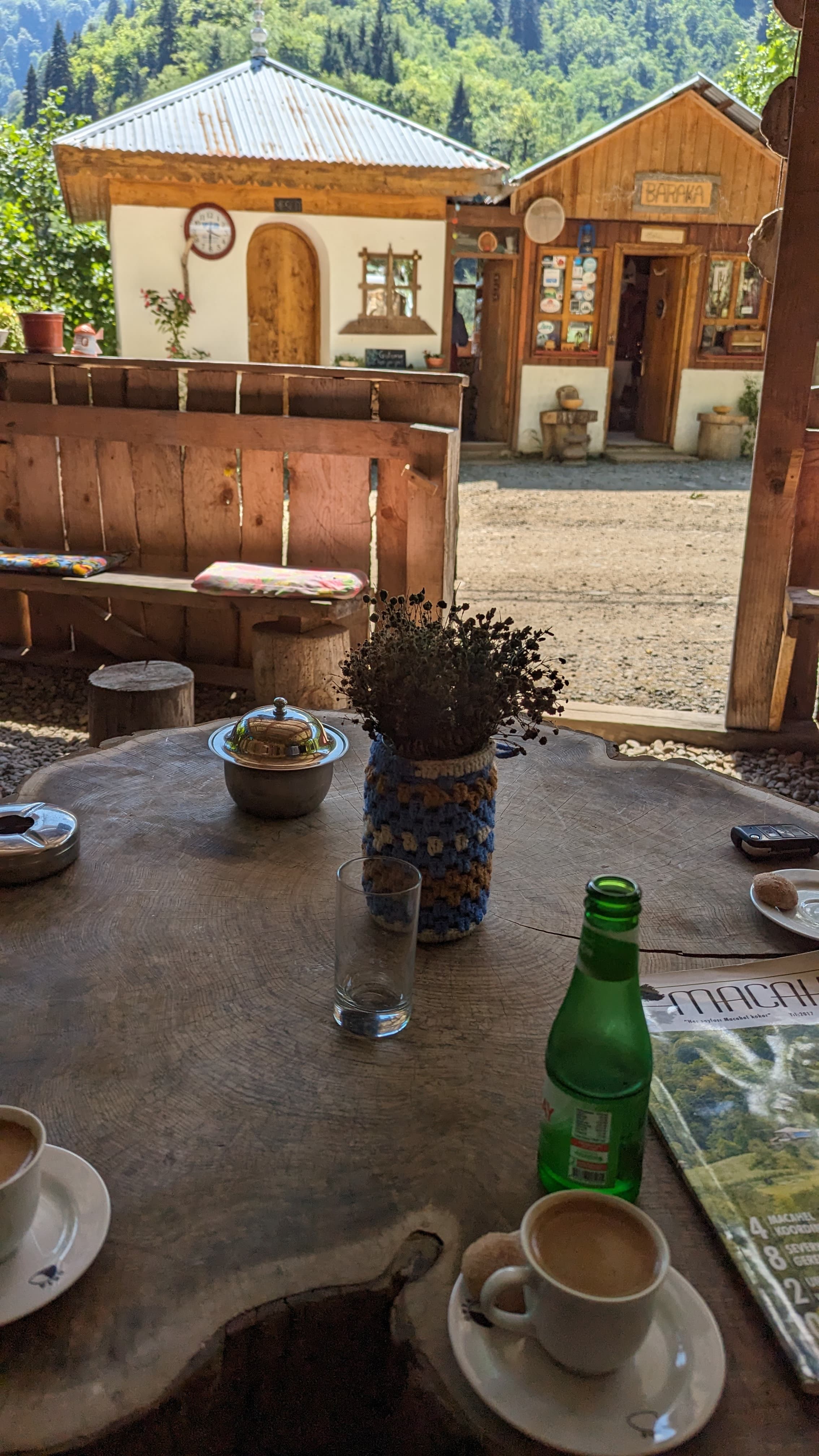 A highland village above Artvin. Hazelnut orchards, stone houses, the Georgian mountains behind.