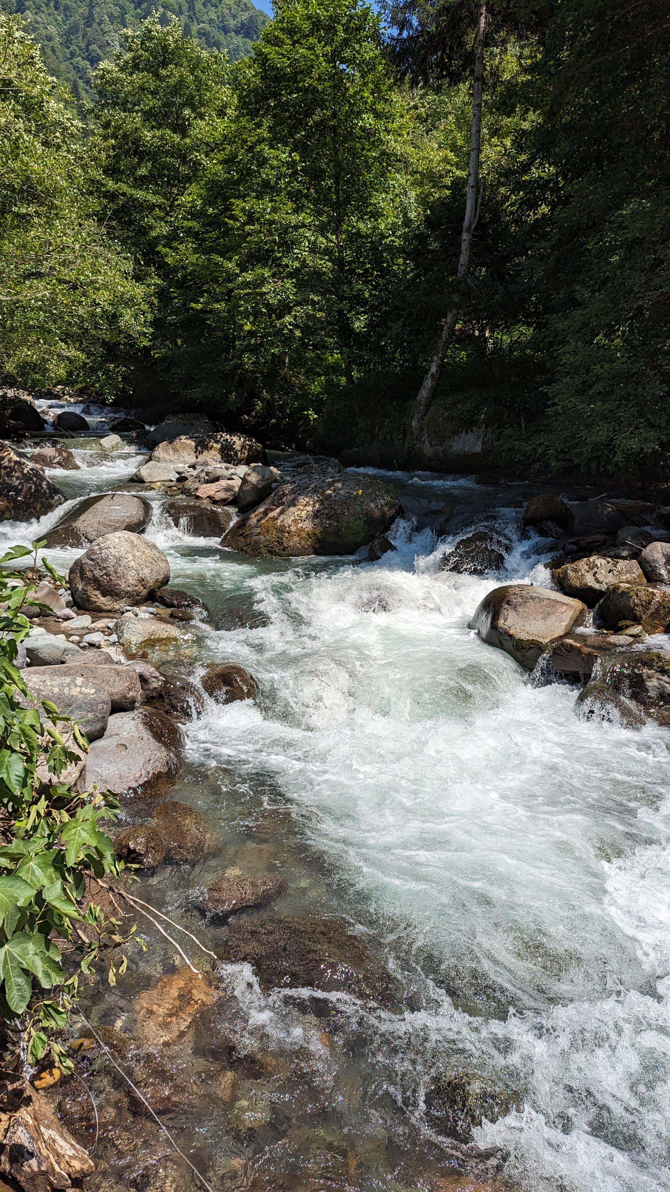 Local honey at a roadside stall. Wildflower, altitude, a darkness that commercial honey doesn't have.