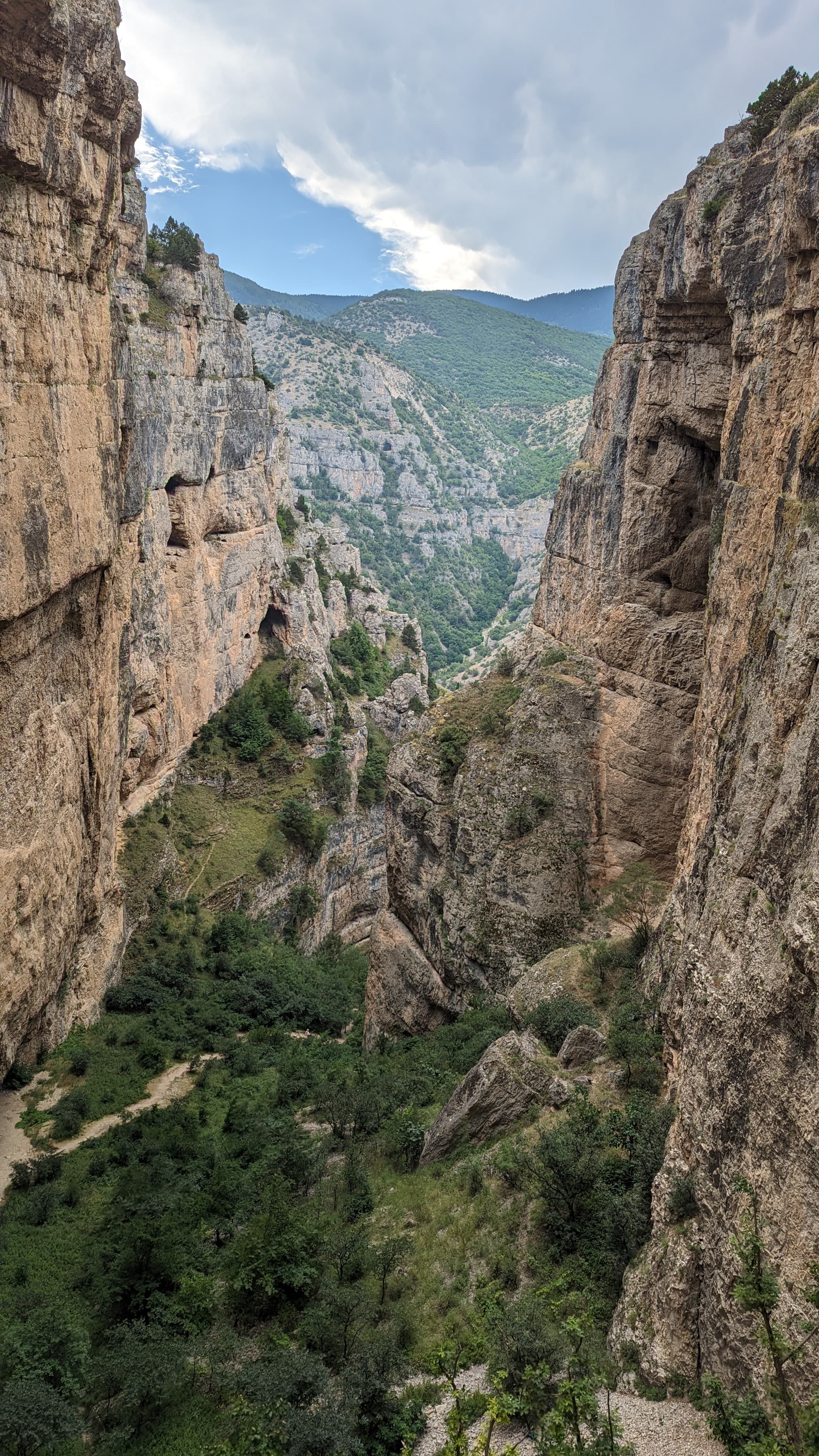 The Artvin valley at dusk. Forested ridges, the city lights below, the end of the world feeling.