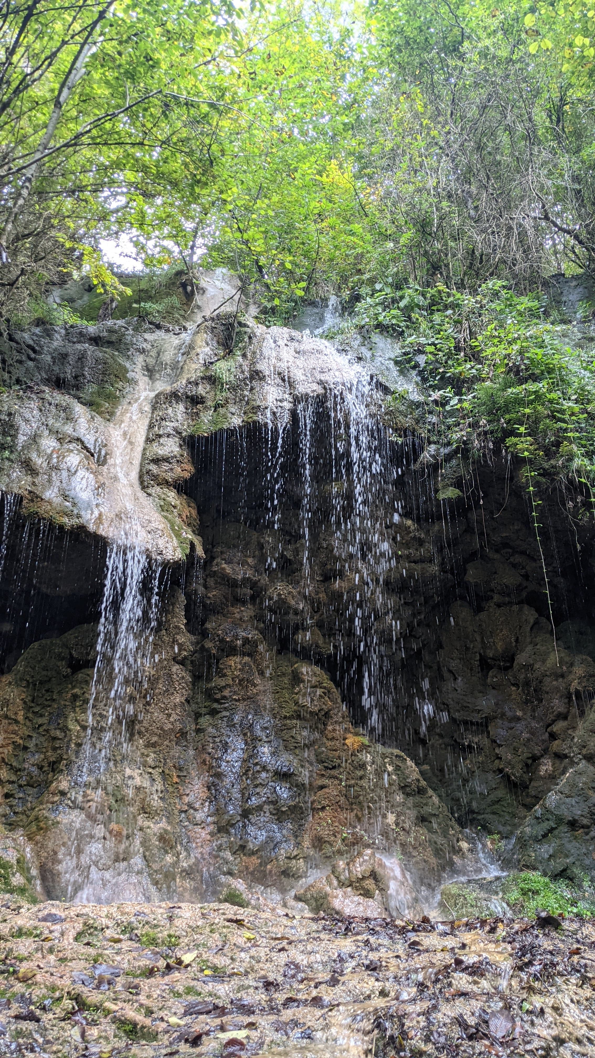 Giresun harbour. The island is visible in the bay — Byzantine ruins, Genoese walls, and pine forest.