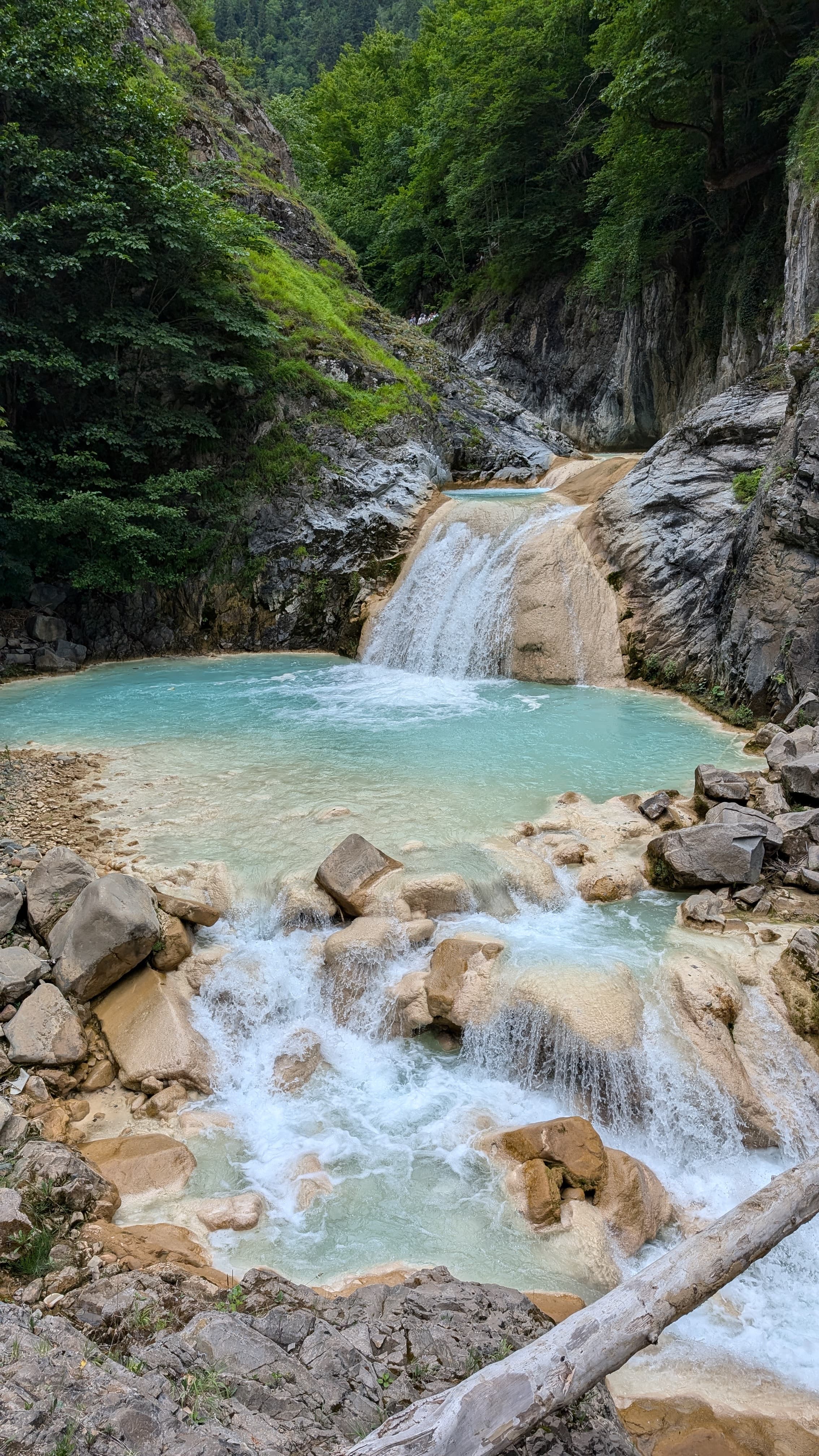 Giresun Island ruins. The monastery and fortress absorbed back into the forest over five centuries.