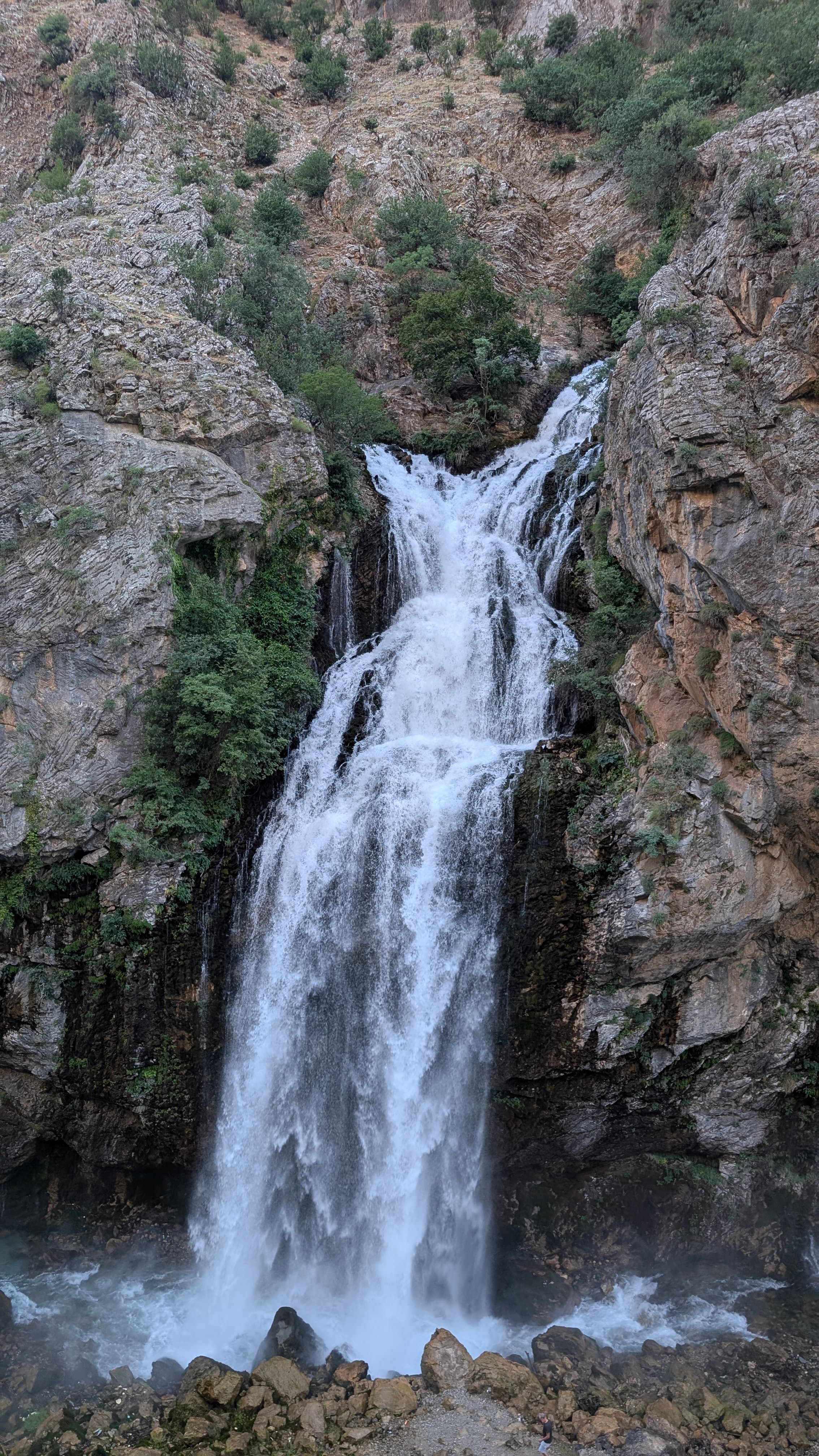 Kayseri manti. The city's other great food claim: tiny dumplings with yogurt, brown butter, and chilli.