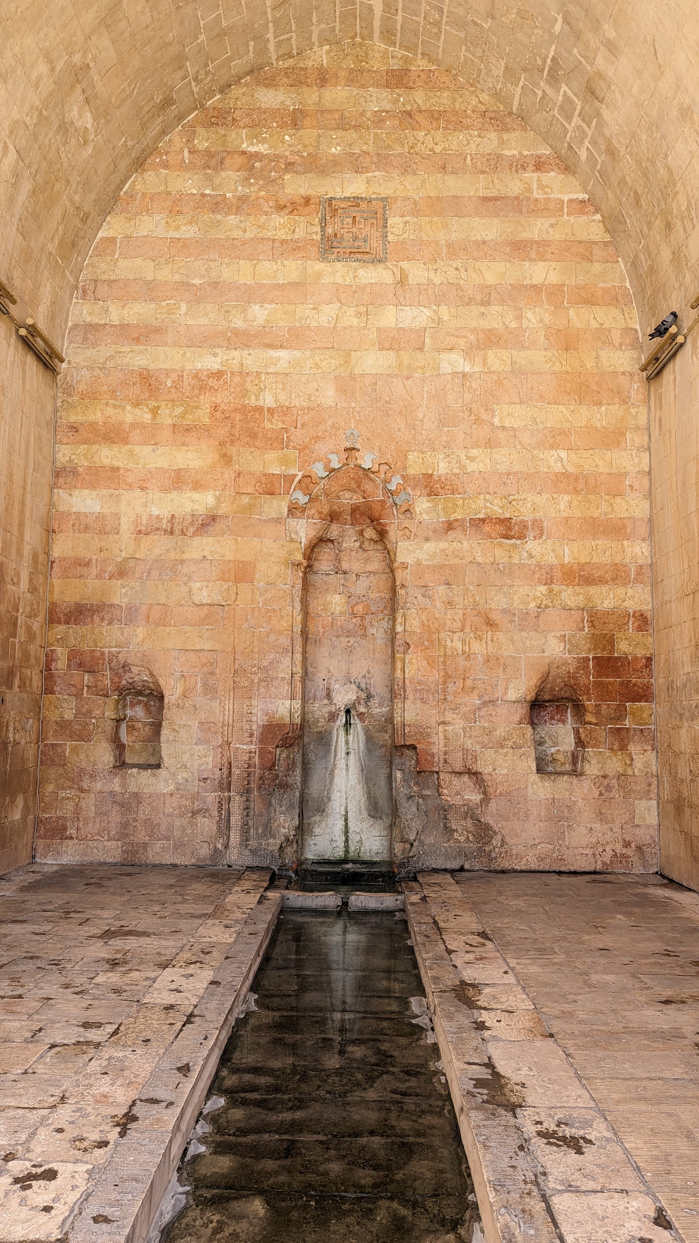 The southern terrace at sunset. The Mesopotamian plain goes flat to the horizon, Syria beyond.