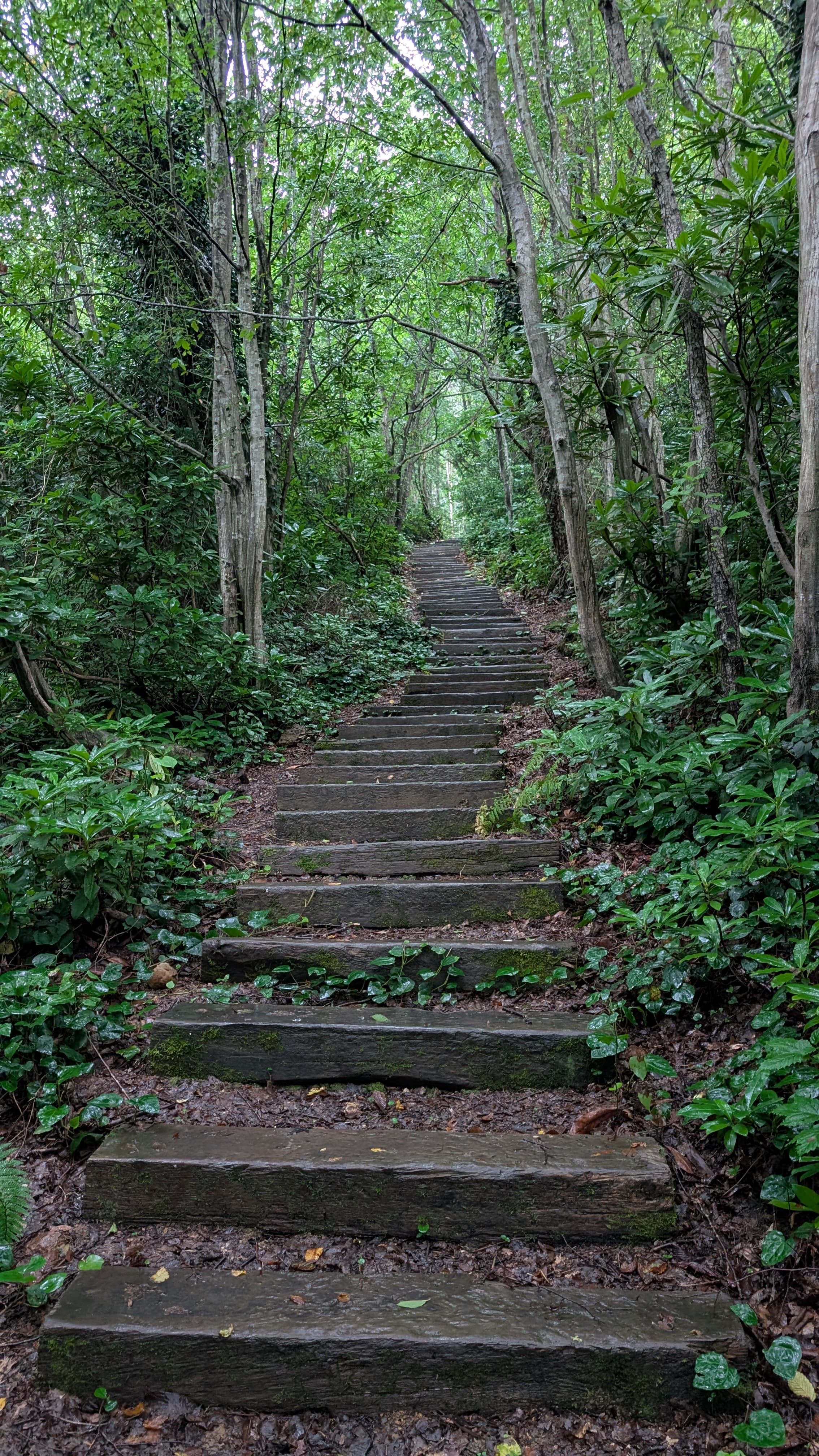 The beach at sunset. Nobody on it. Exactly right.