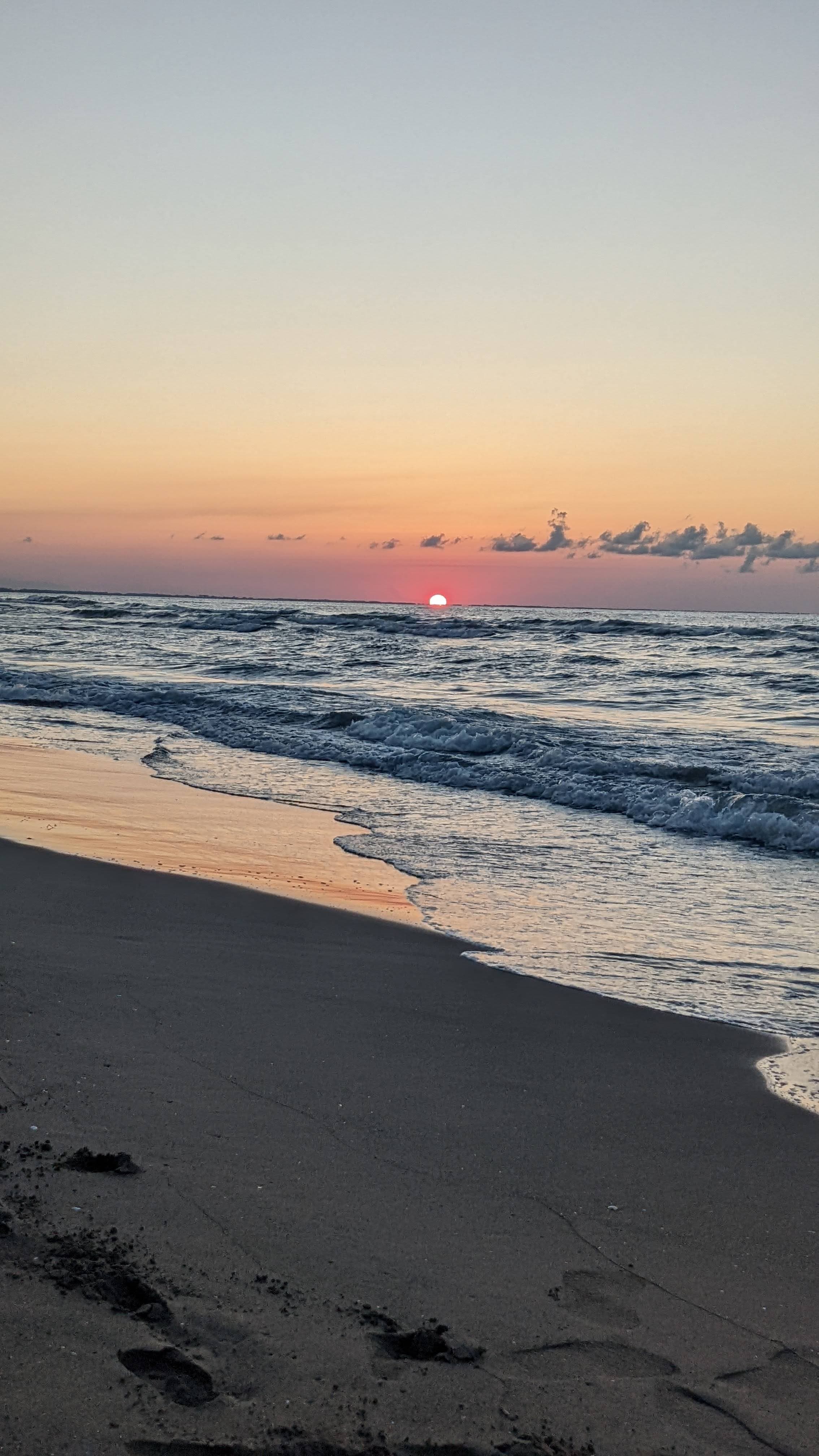 Carnations and harbour light. Ordu does evenings well.
