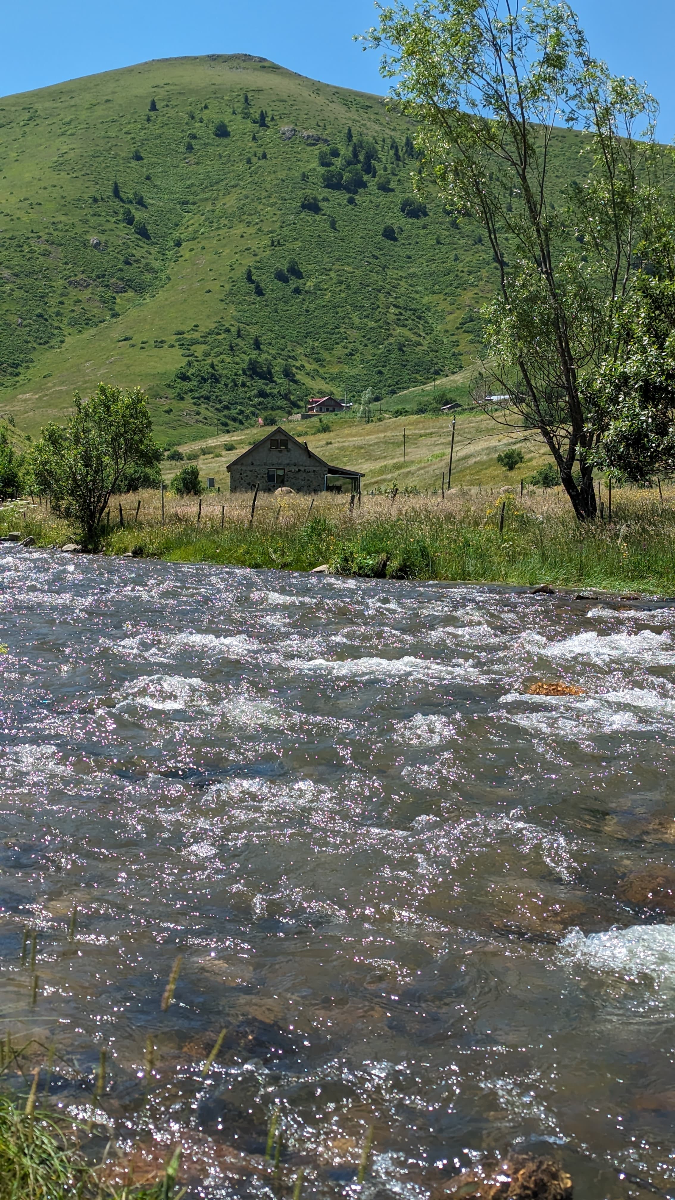 A waterfall in the forest above Ordu. The Black Sea keeps everything green.