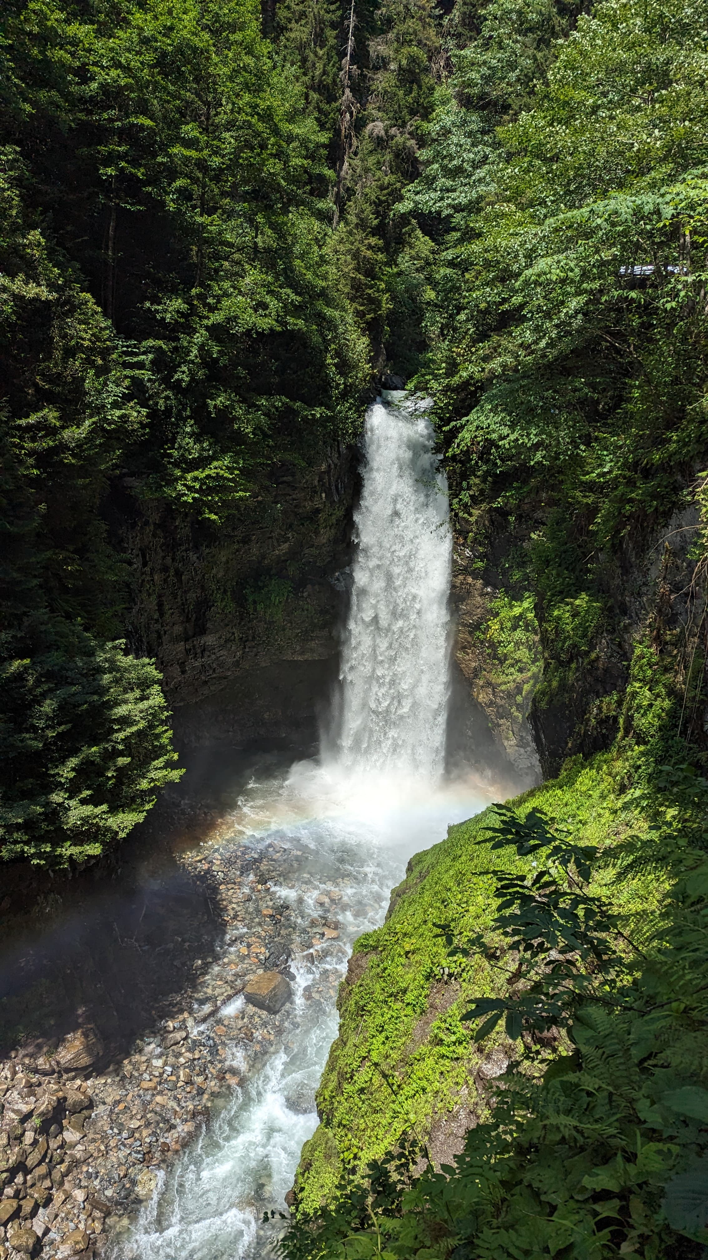 A picker at work. Both hands moving, the basket fills fast.