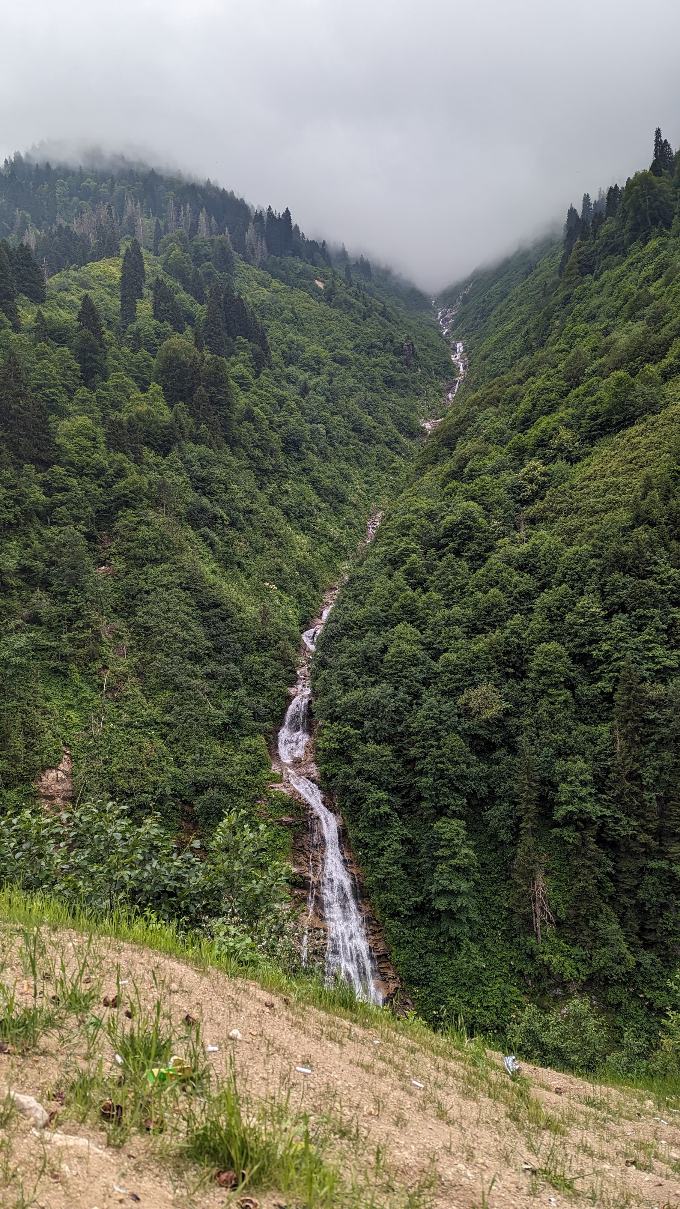 Muhlama arriving at the table. Cornmeal, local cheese, butter. A Black Sea institution.