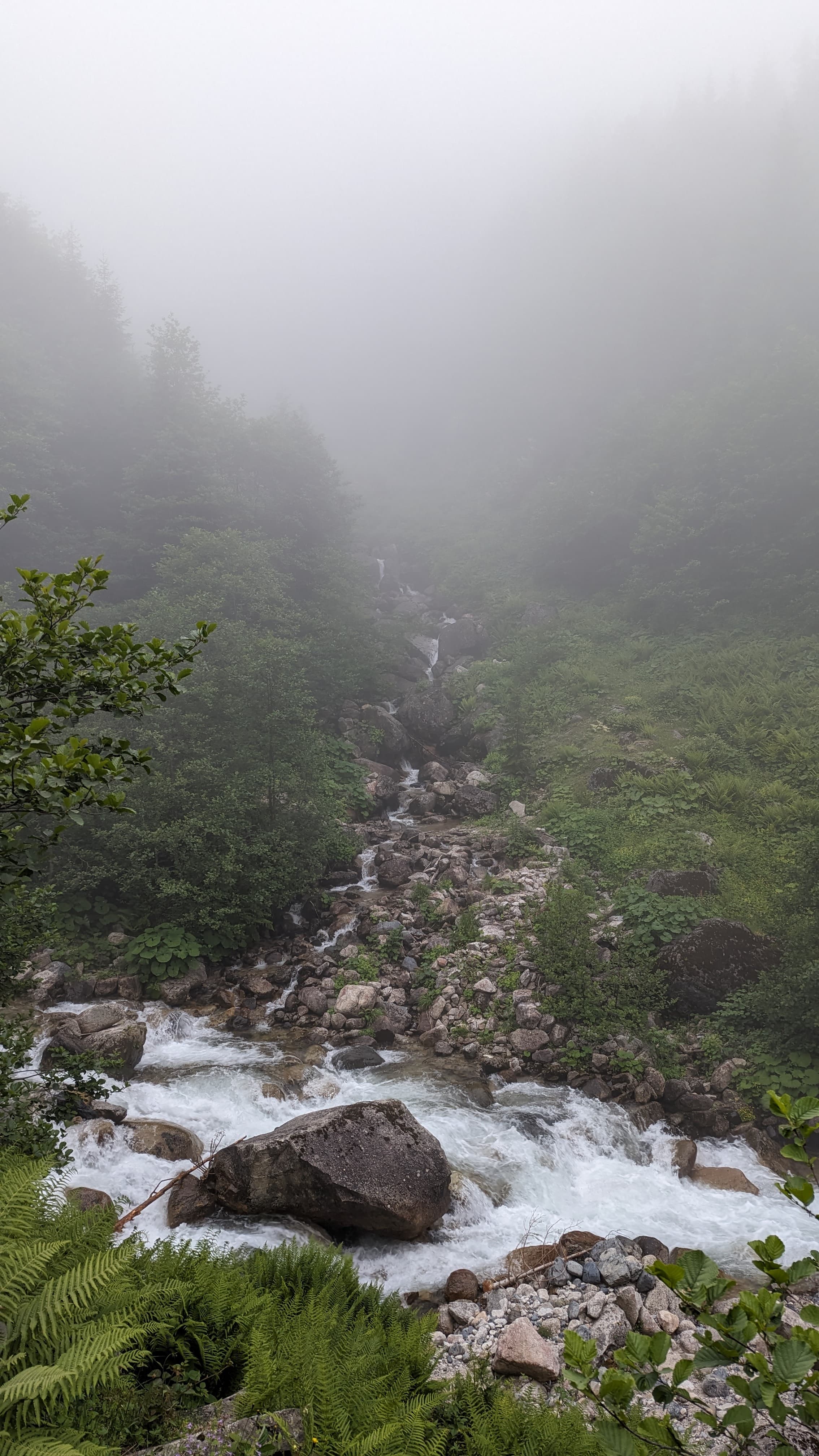 A waterfall above Ayder Plateau. Snowmelt, spruce forest, and a sound you can hear from a kilometre away.