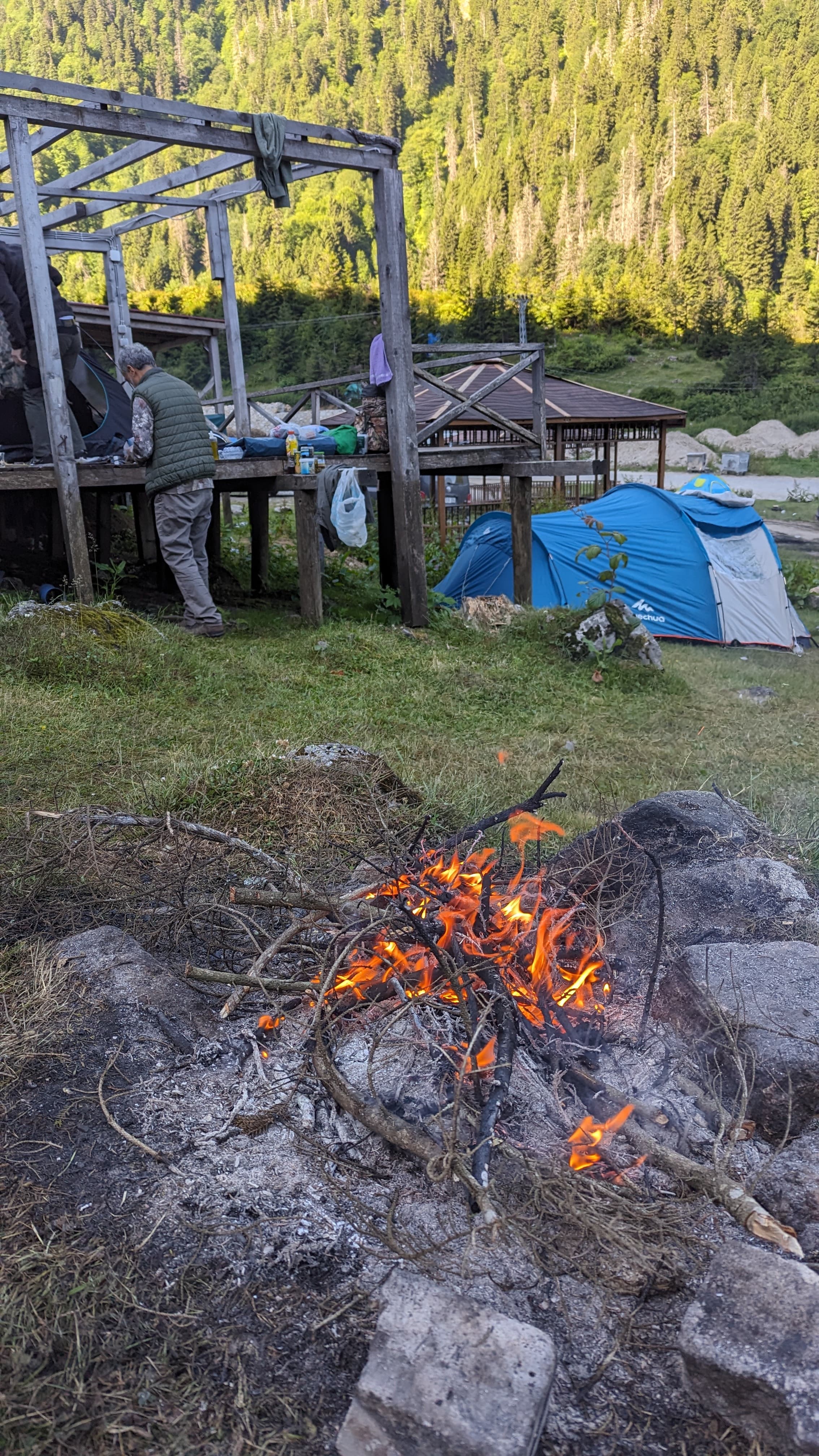 Fresh çay in a tulip glass. The hillside it came from is probably visible from where you're sitting.