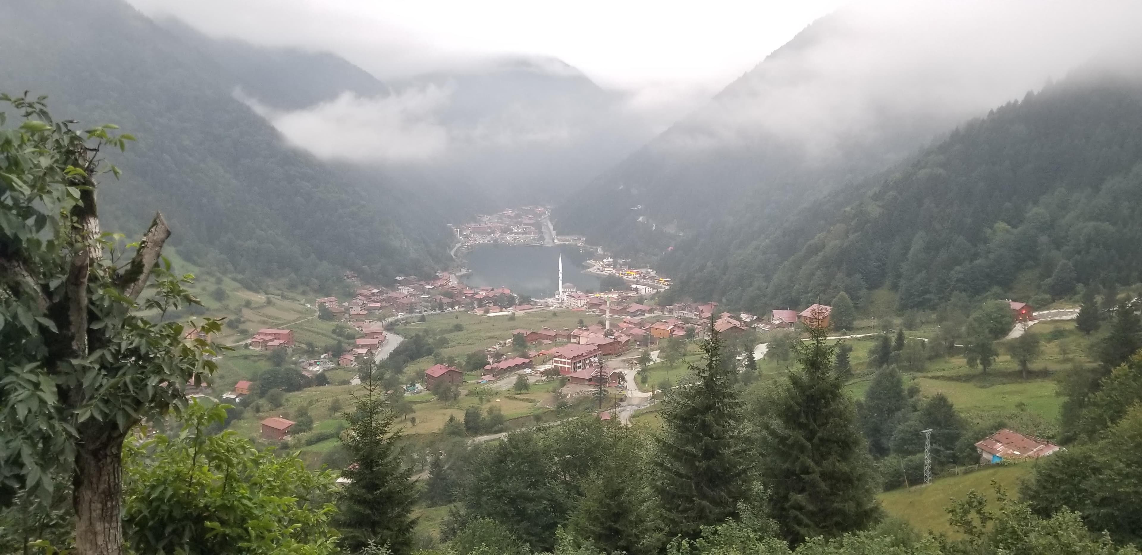 Sümela from below. The cliff is vertical. The monastery is built into it. The physics are confusing.