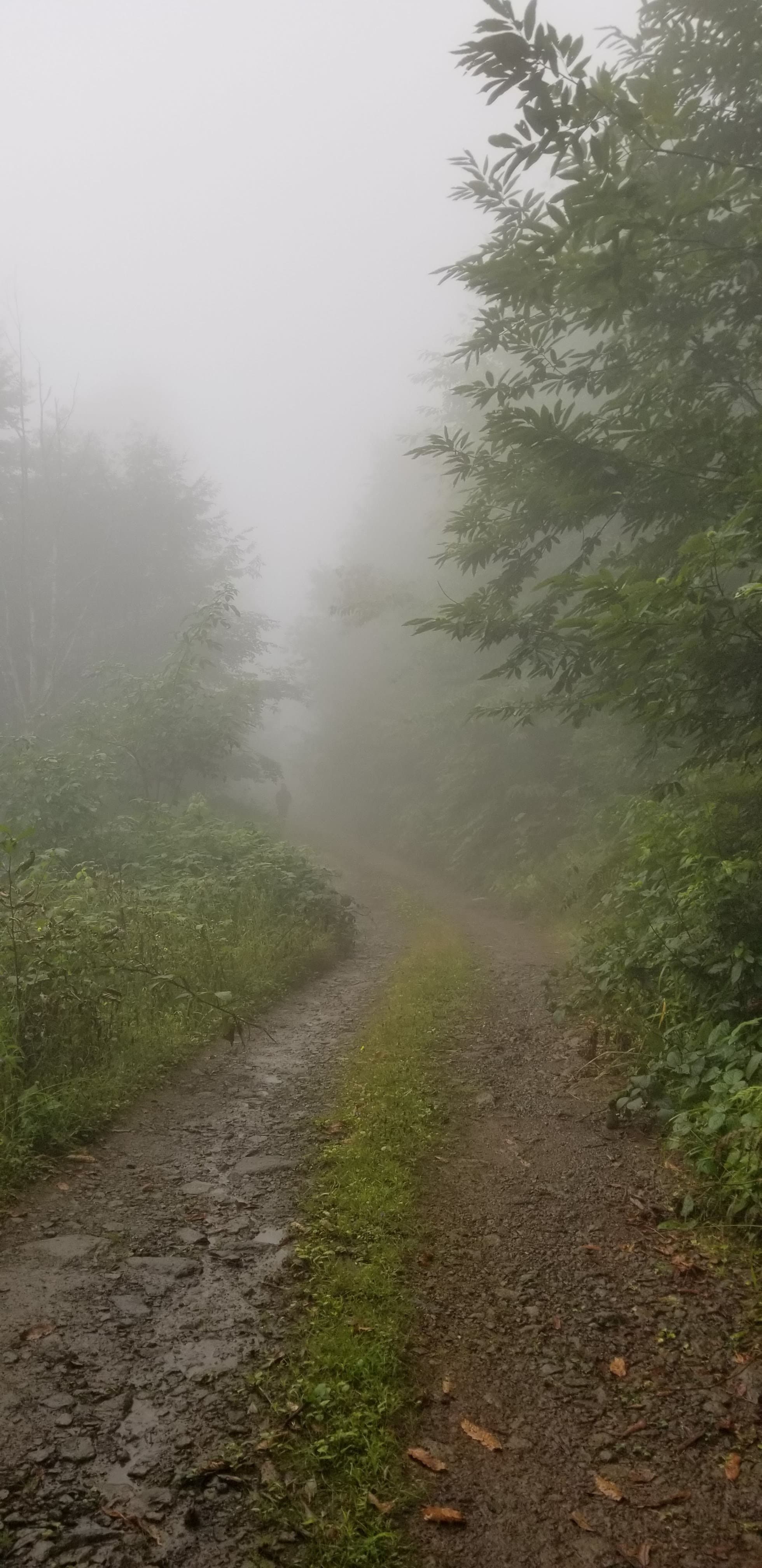 Byzantine frescoes in the rock-cut church. Saints and angels, a thousand years of candle smoke.