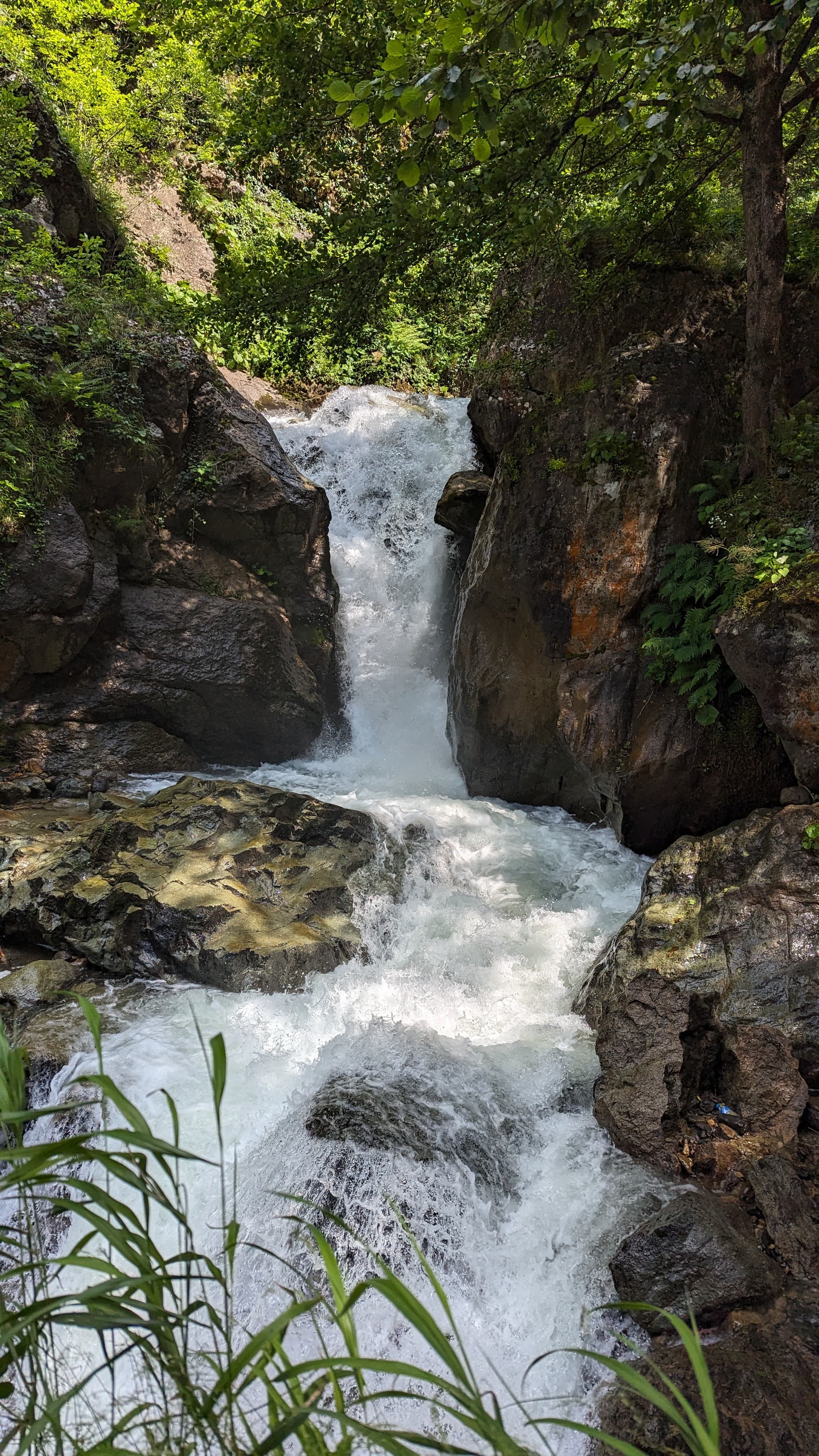 Hagia Sophia of Trabzon — thirteenth-century frescoes in the narthex, pale gold light through high windows.