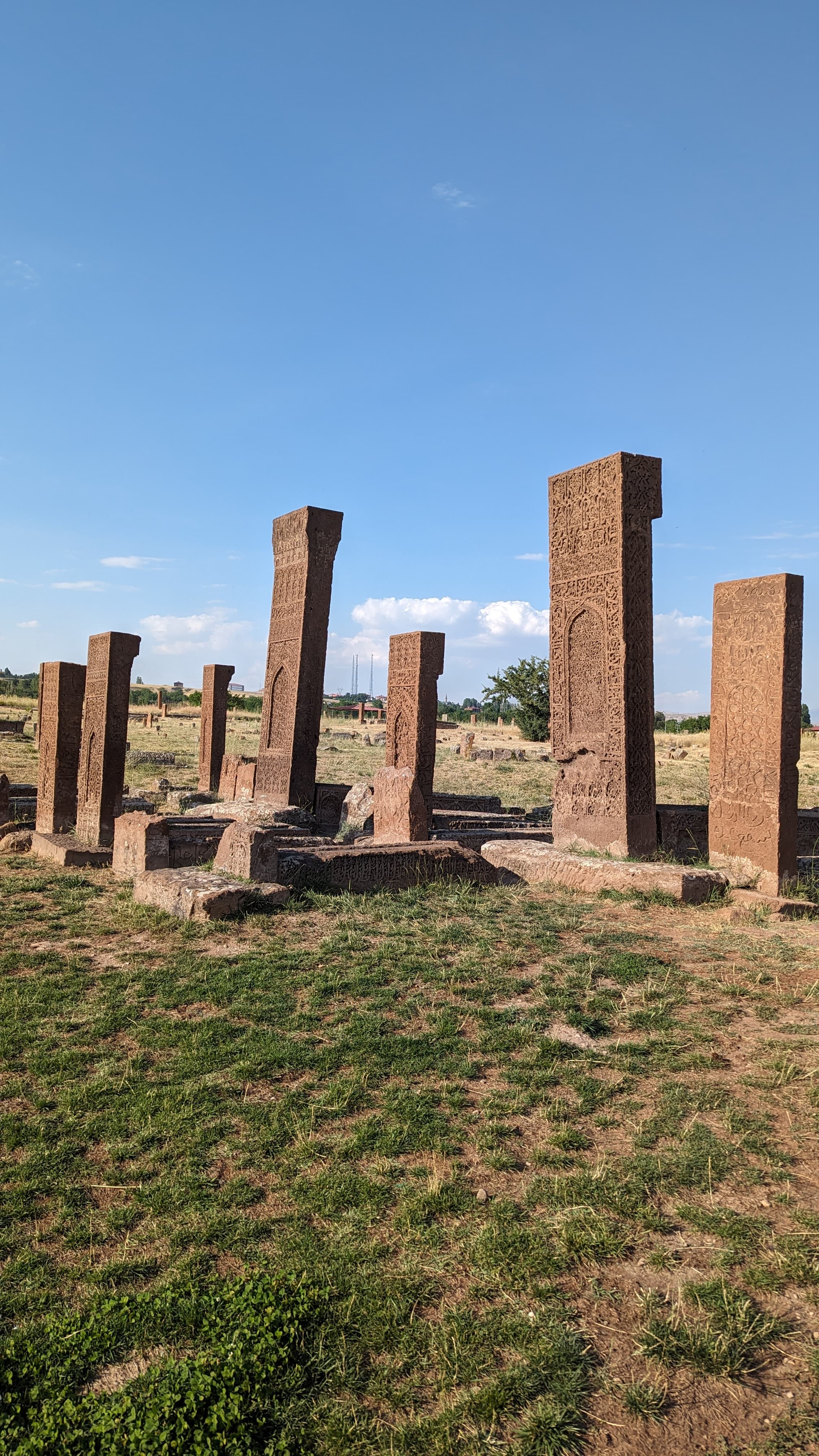 A Van cat on a wall, exercising its prerogative of indifference.