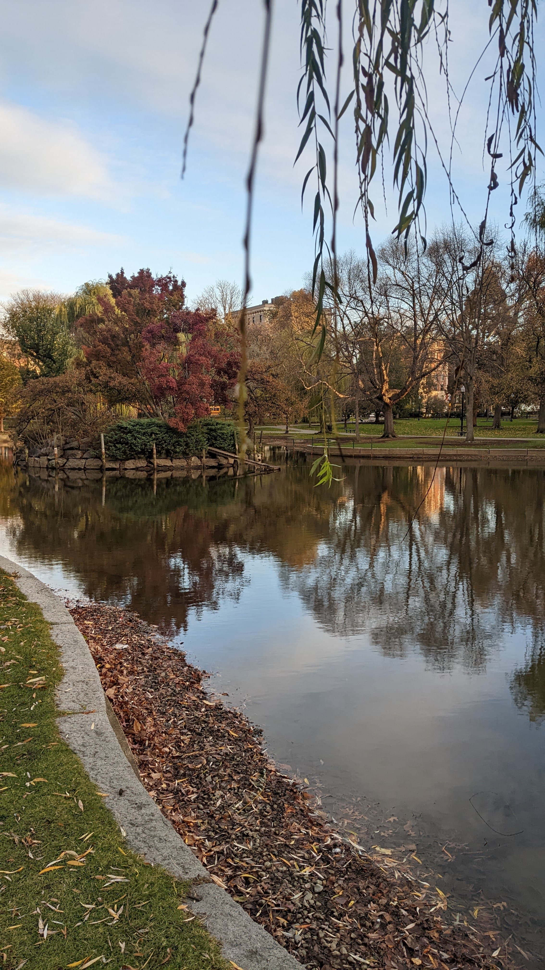 Boston Public Garden. Swan boats, weeping willows, and the city skyline beyond — a Victorian park in a colonial city.