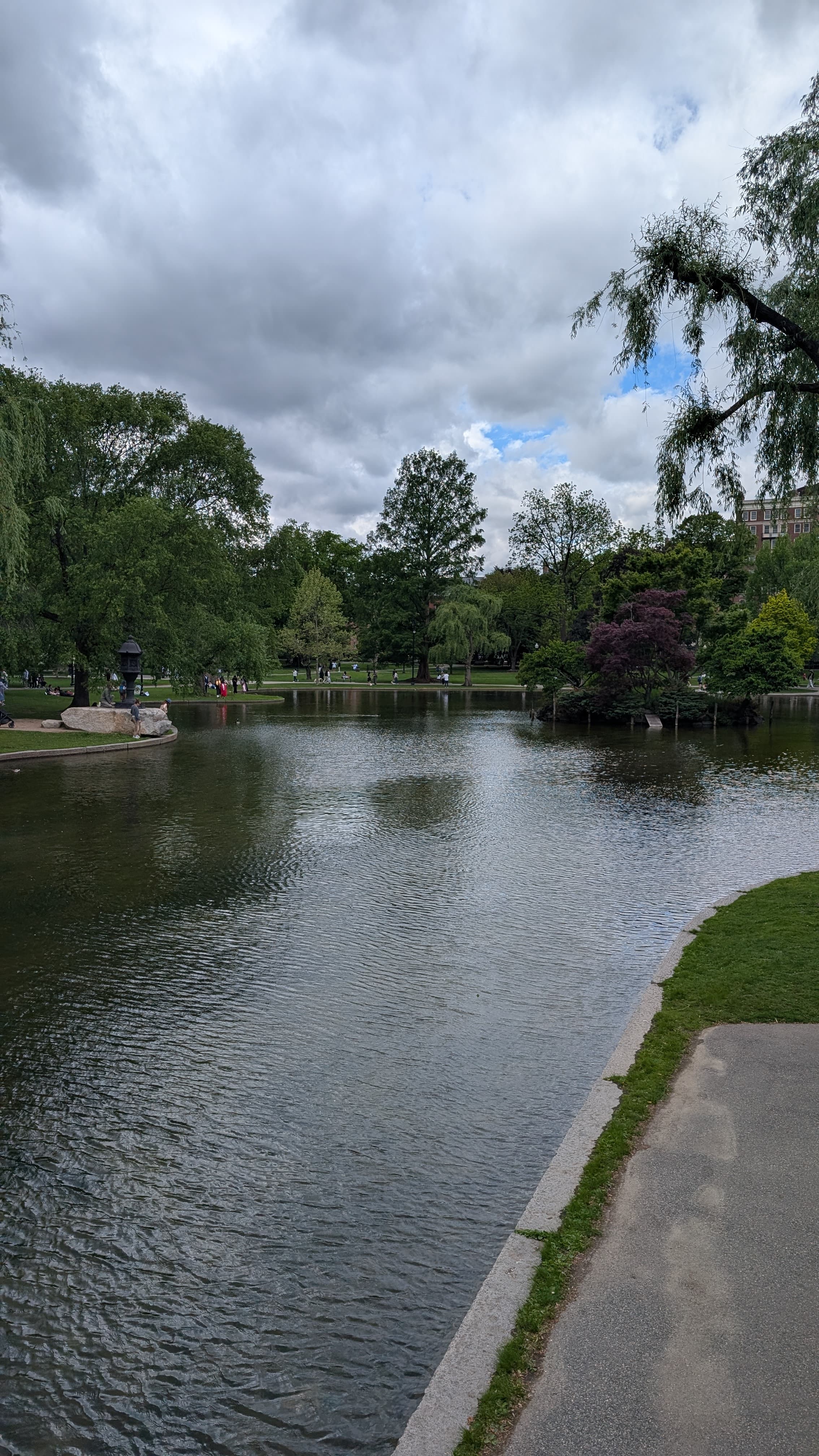 Harvard Yard. The elm trees, the brick, the weight of expectations. It is exactly what you imagine.
