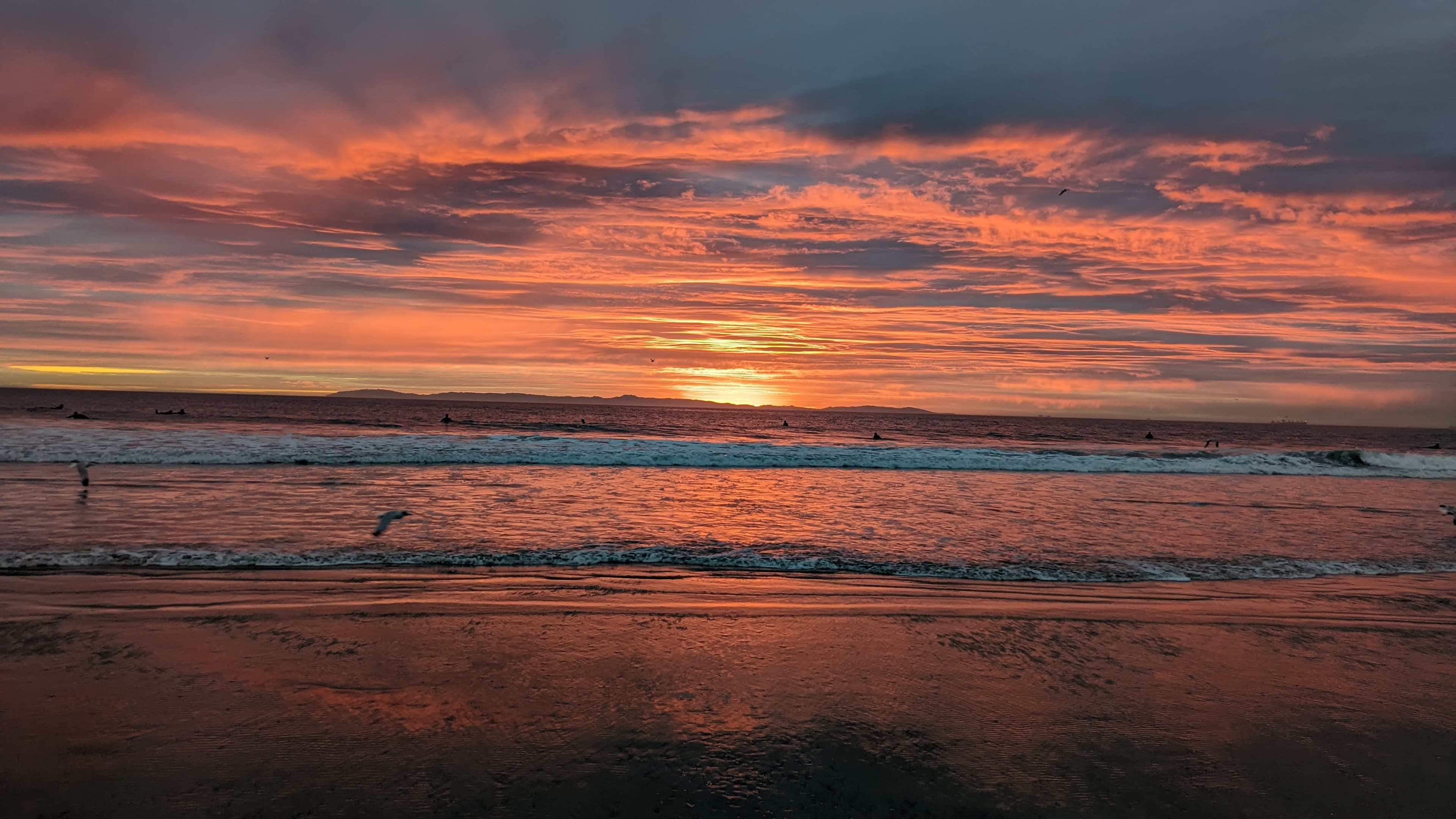 Balboa Island. The ferry crosses 200 metres of harbour water; it has been doing this since 1919.