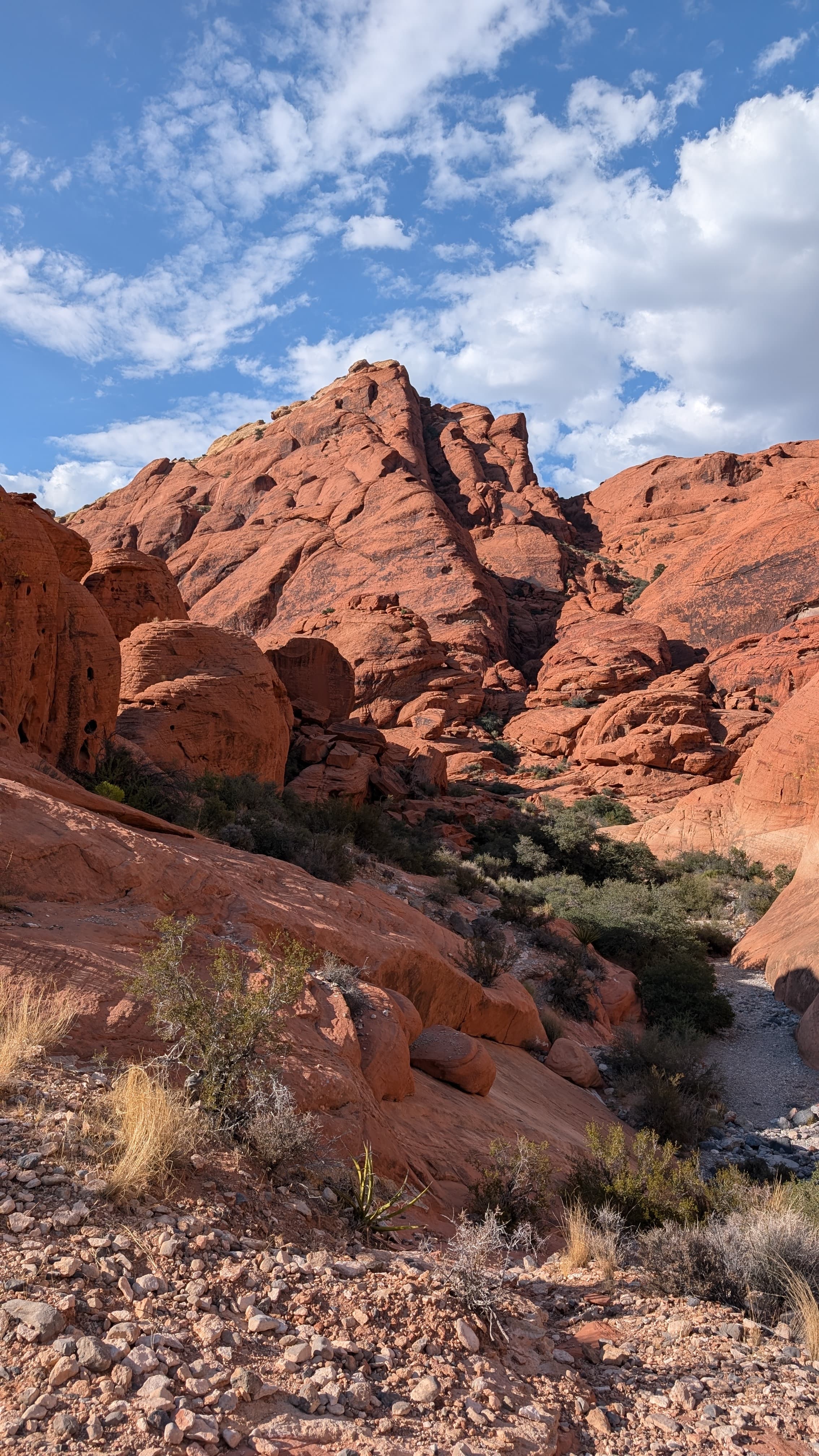 Red Rock Canyon. Twenty miles and a complete world away from the Strip.