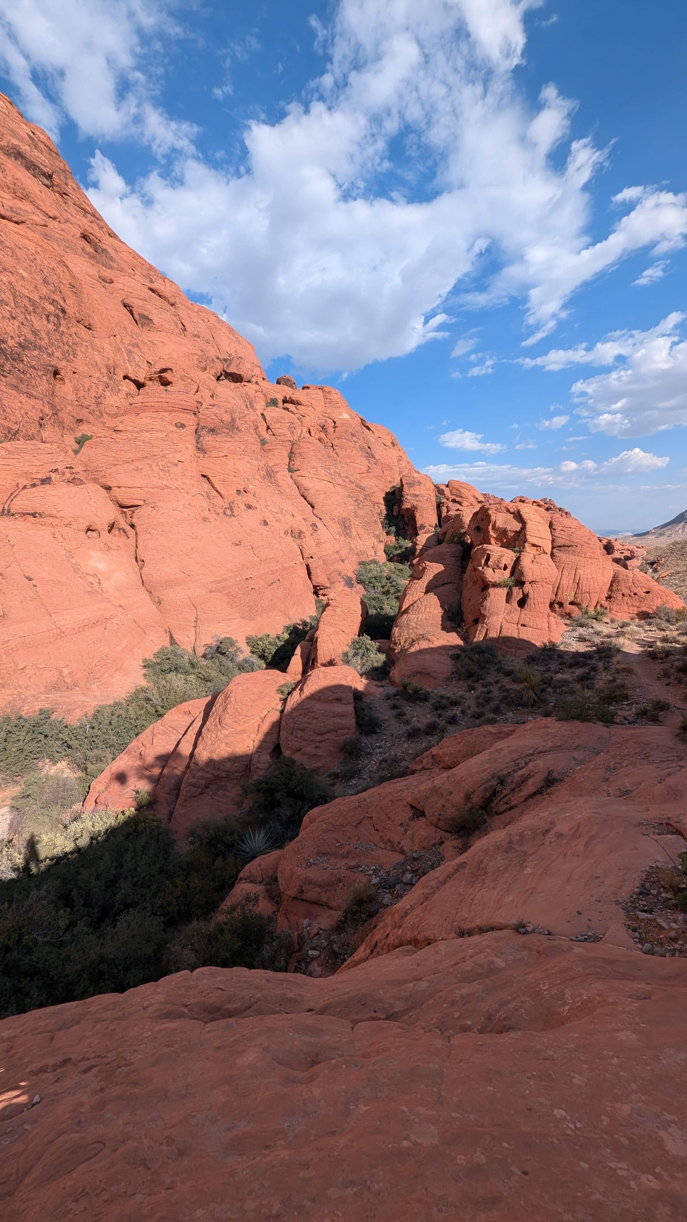 The Sphere exterior. Nothing like this has existed before; it is either brilliant or alarming, possibly both.