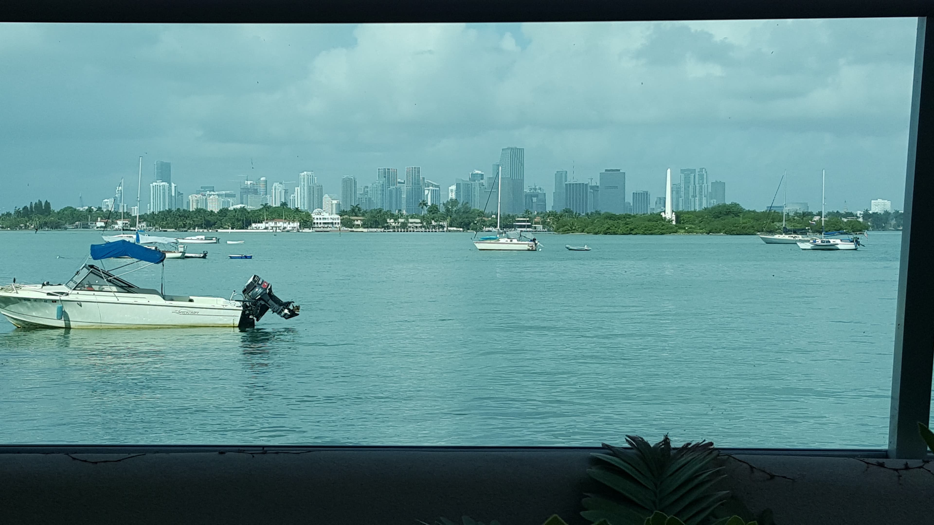 Wynwood murals. The warehouse walls became a canvas; the neighbourhood followed.
