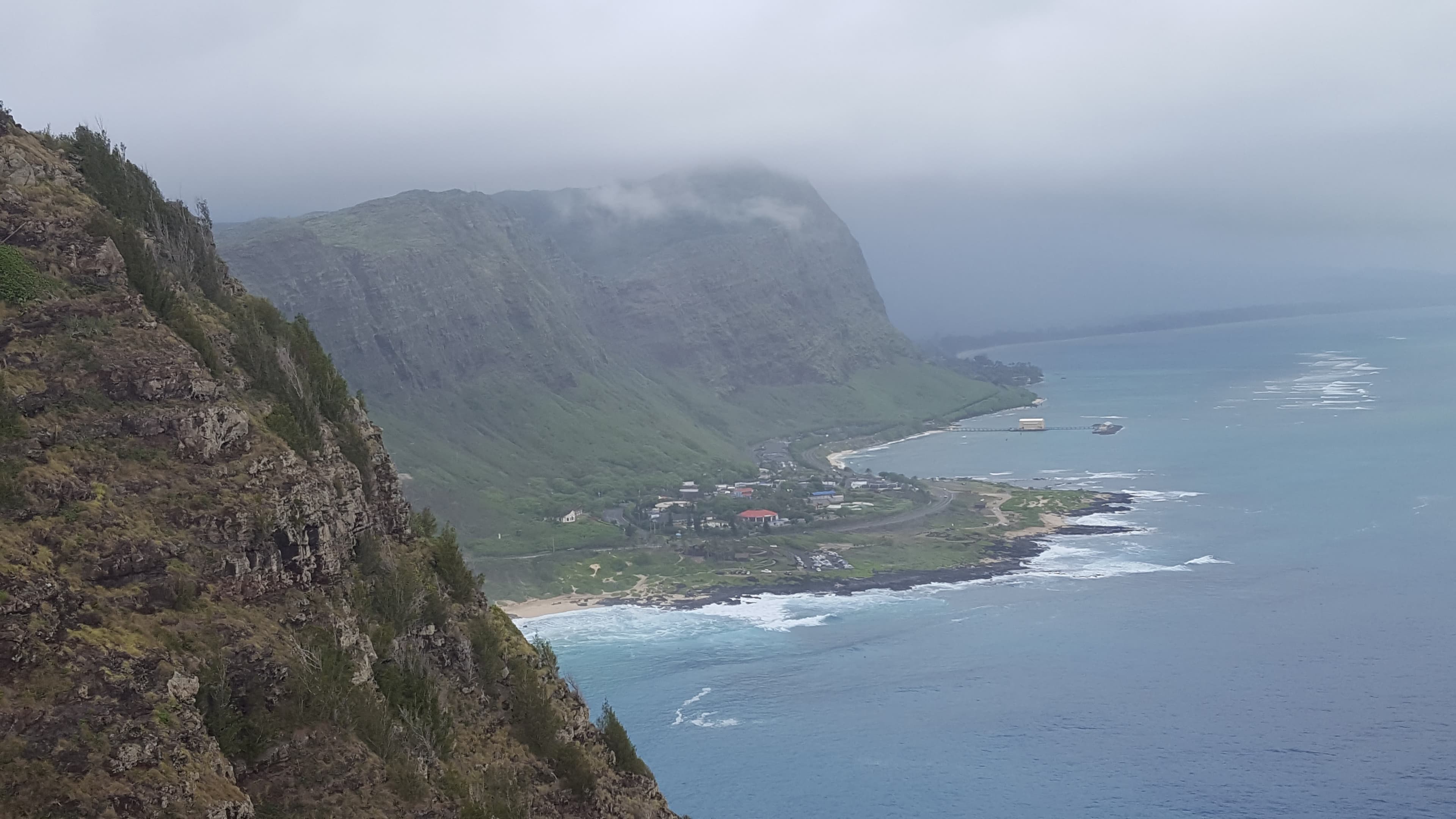 Honolulu fish market. The poke tradition here is the original; everything you've had on the mainland is an approximation.