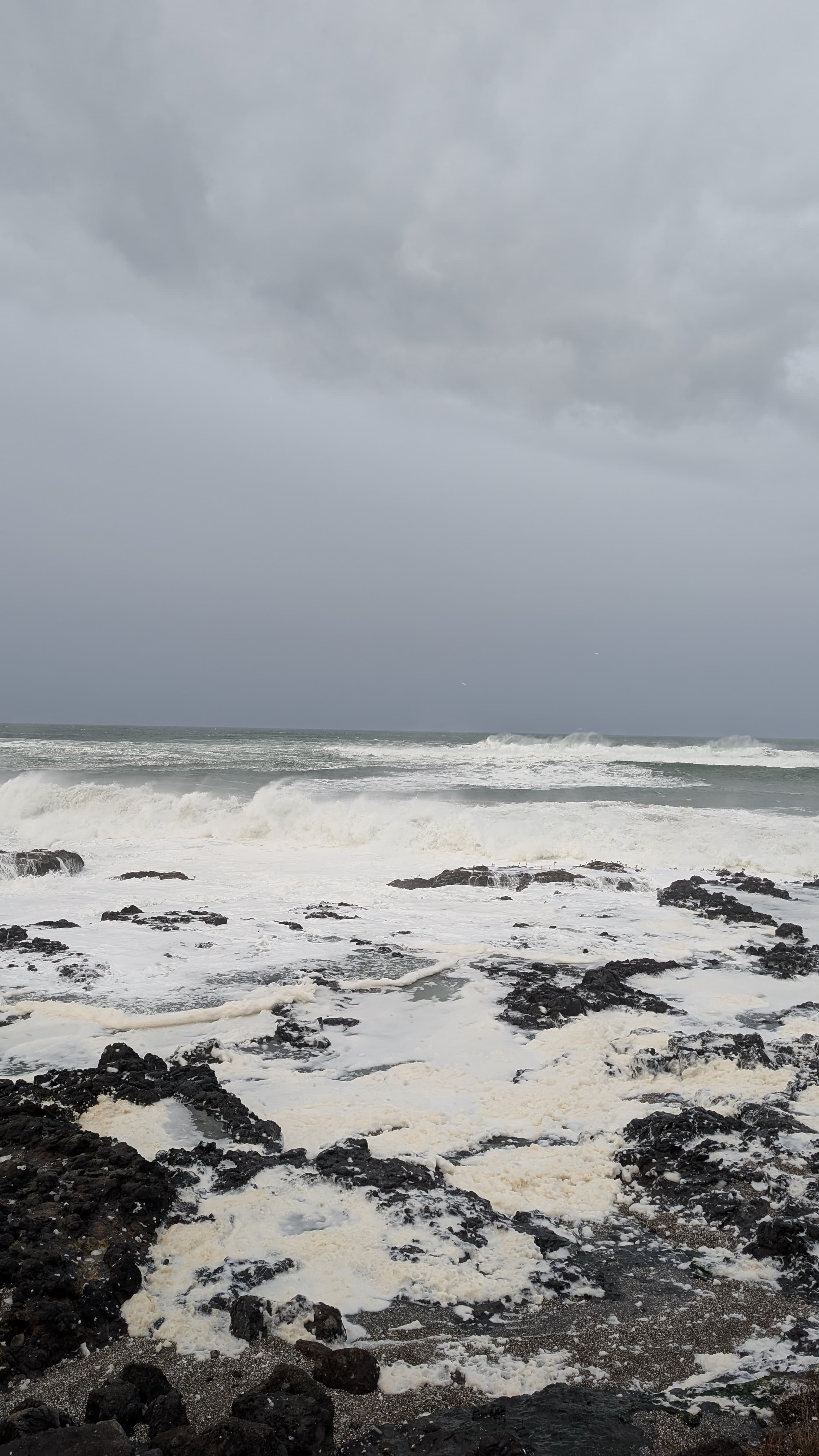 Oregon coast sea stacks. The Pacific coast here is wilder and less managed than California; better for it.