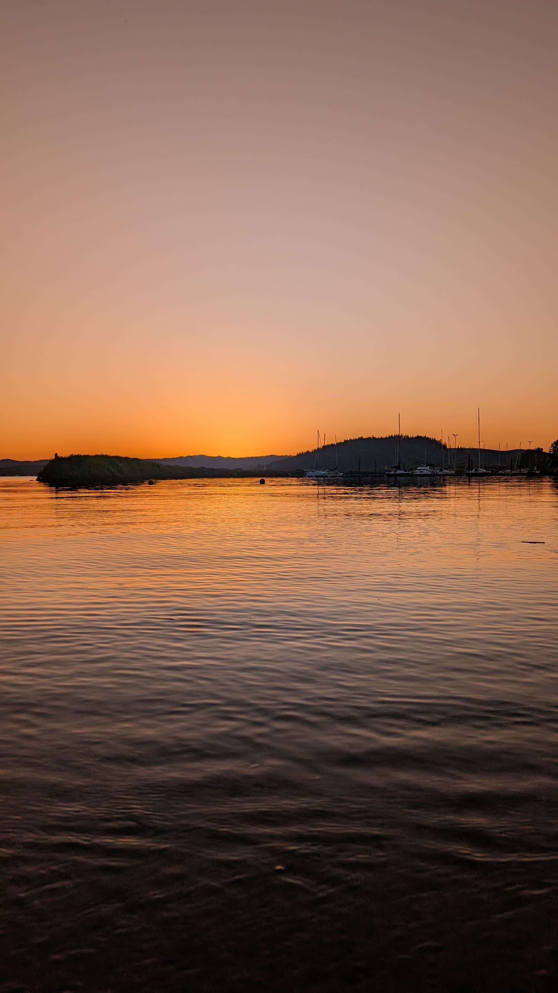 Crater Lake. A collapsed volcanic caldera, the water this shade of blue because of its depth and purity.