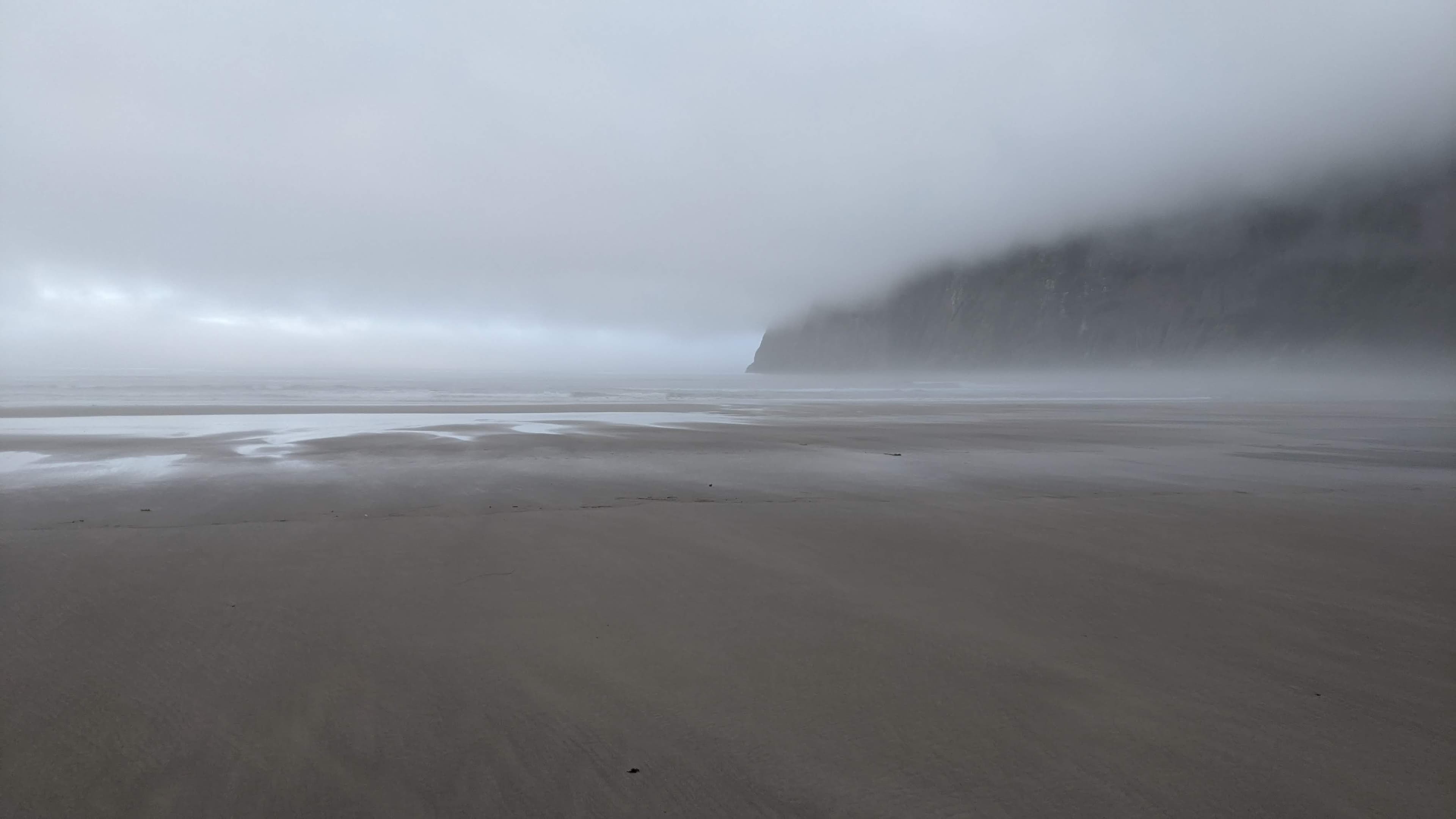 Oregon high desert east of the mountains. The landscape east of the Cascades is a different state entirely.