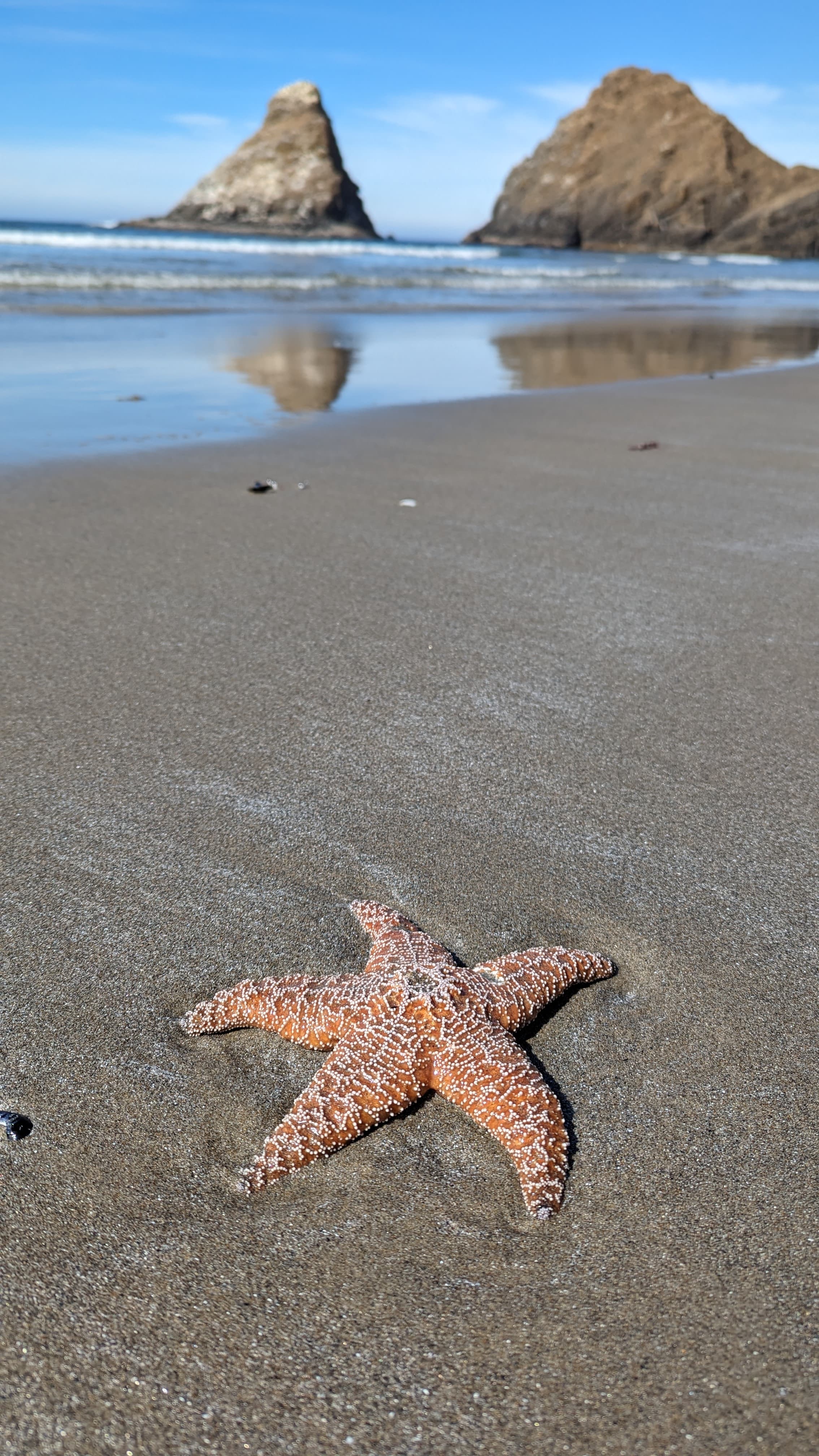 Historic Columbia River Highway. The road was built in 1916 for scenic driving; it still works for exactly that.