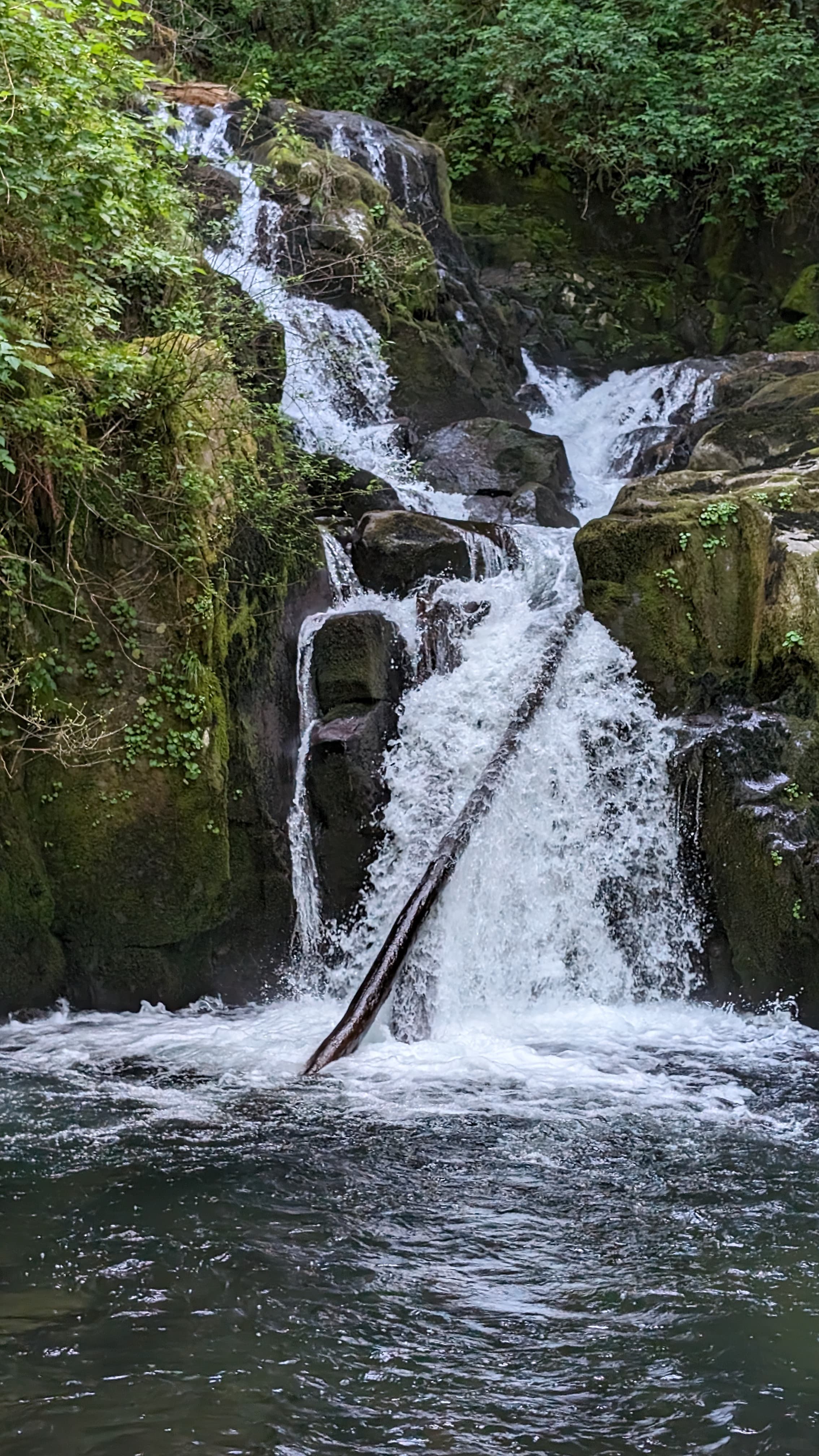 Oregon coast fog. The fog is a permanent feature on this coast; it makes the sea stacks look medieval.