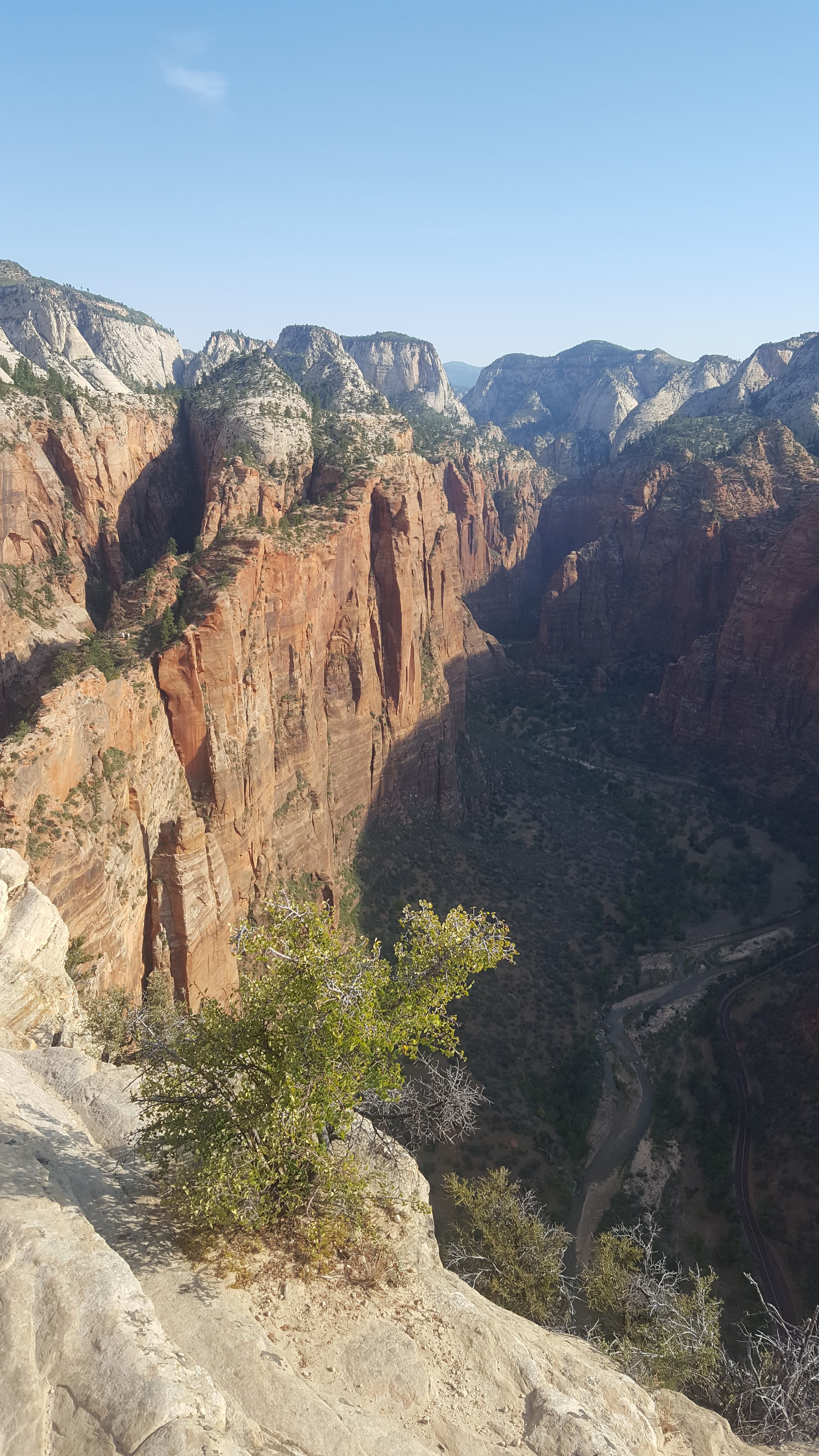 Capitol Reef pear orchards. Mormon settlers planted these orchards in the 1880s; the park maintains them.
