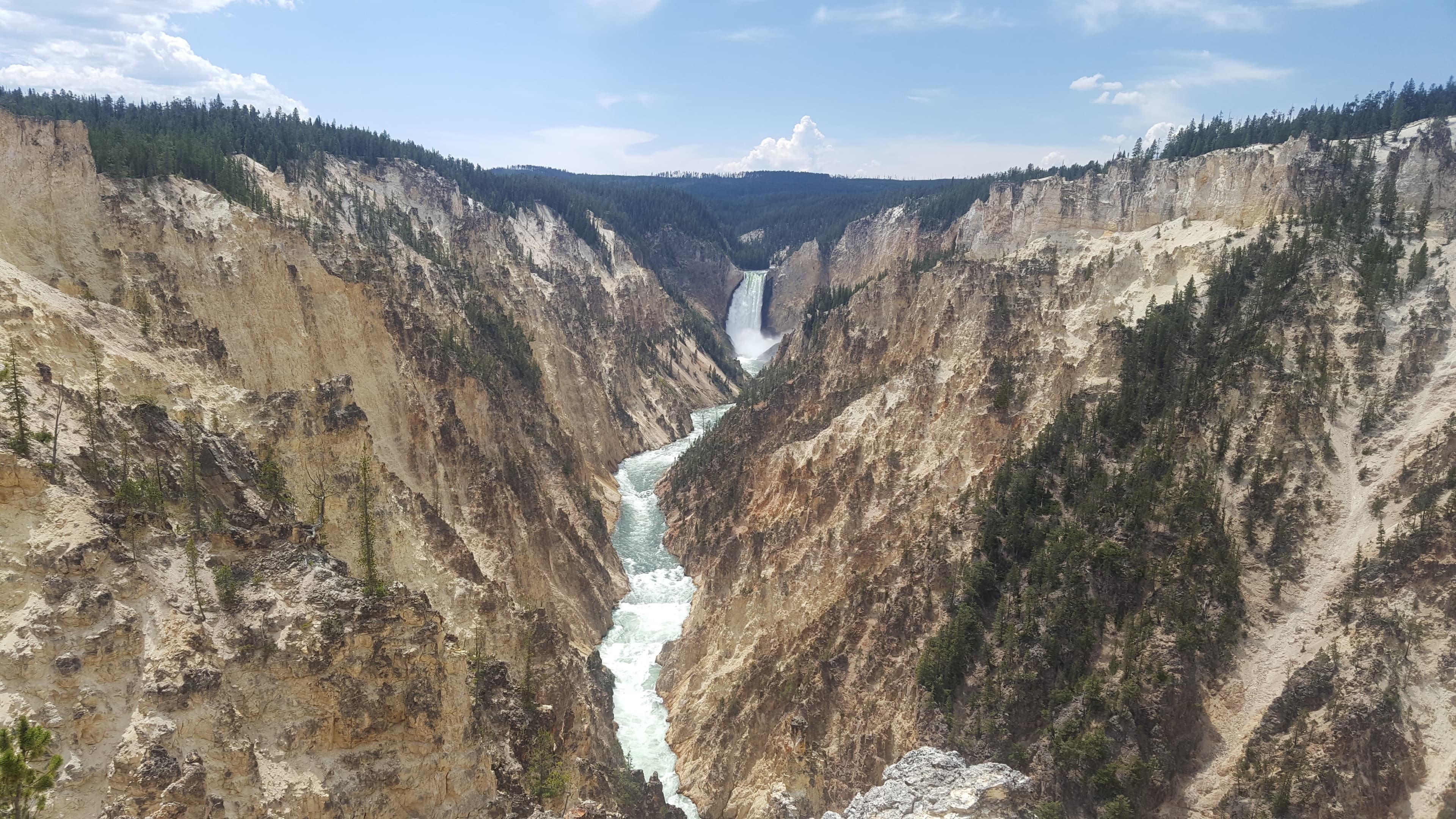 Grand Prismatic Spring from the overlook. The colour rings are bacterial communities in temperature-specific bands.
