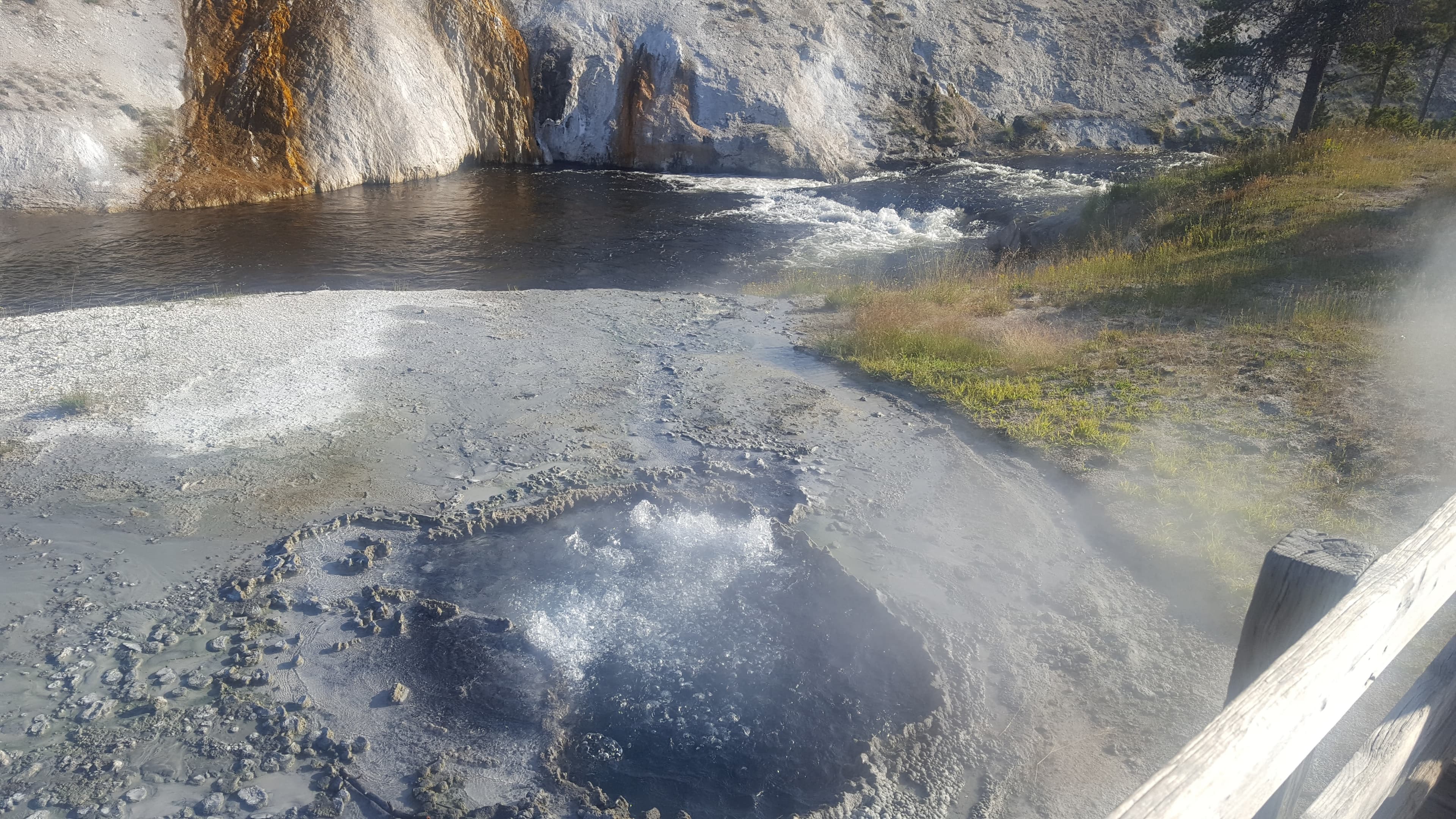 Yellowstone wolf country. The wolves were reintroduced in 1995; the Lamar Valley is where to look.