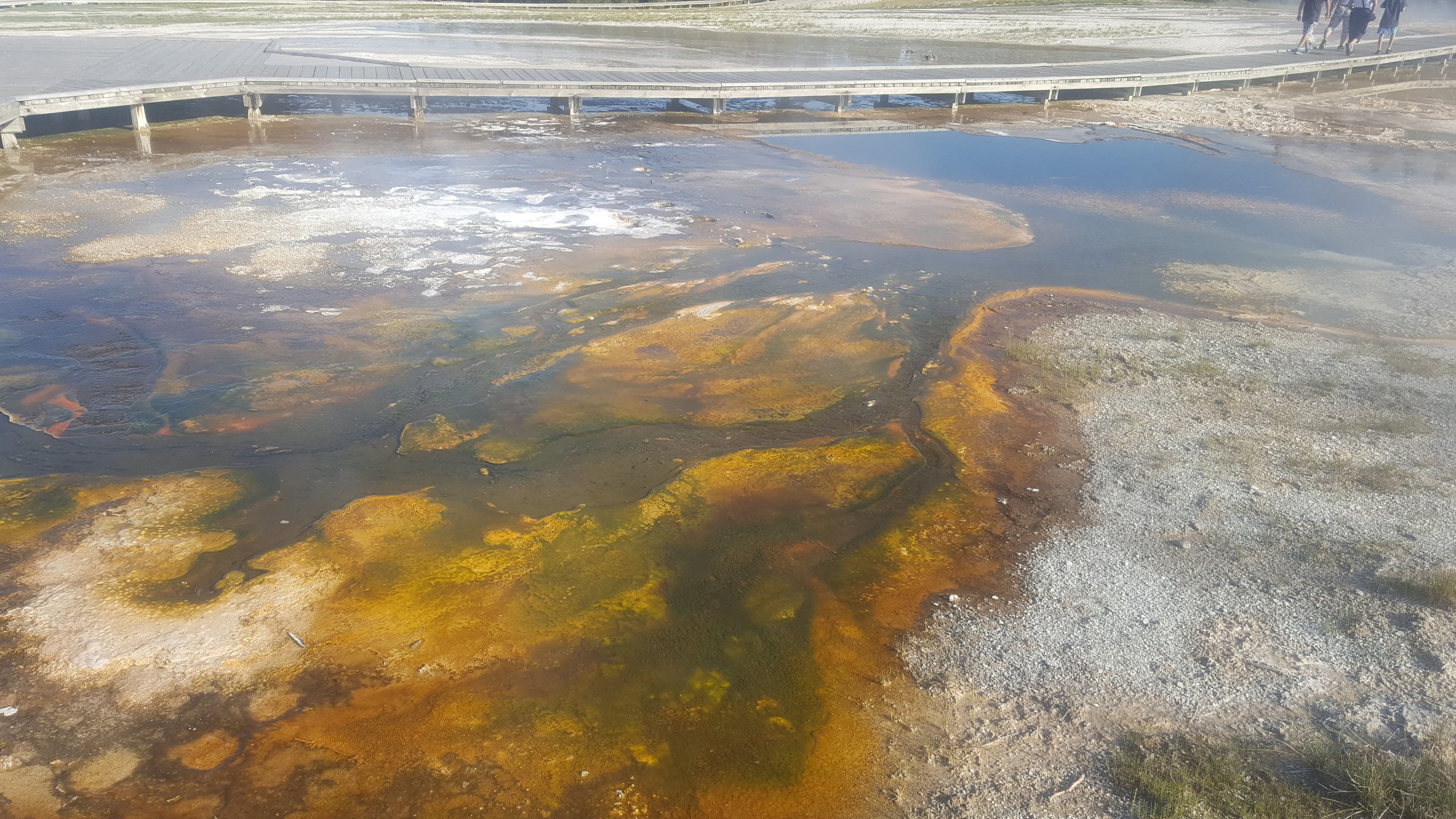 Prismatic Spring up close. The heat is palpable at boardwalk distance; the sulphur smell is constant.