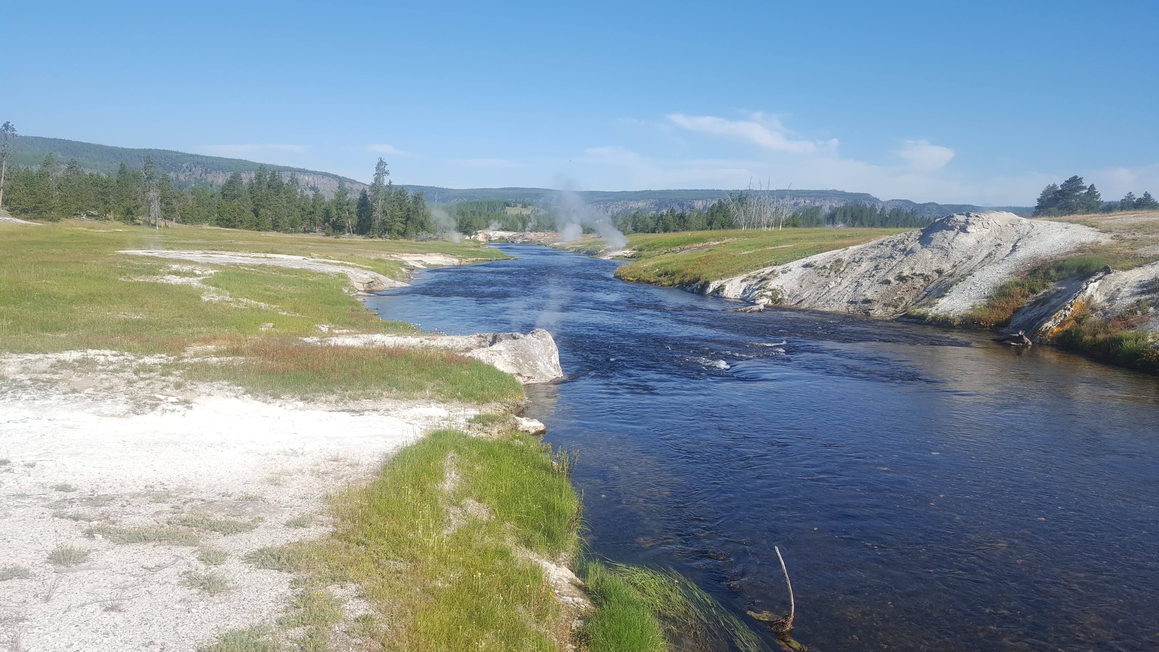 American bison bull. 2,000 pounds; moving at whatever pace it chooses.