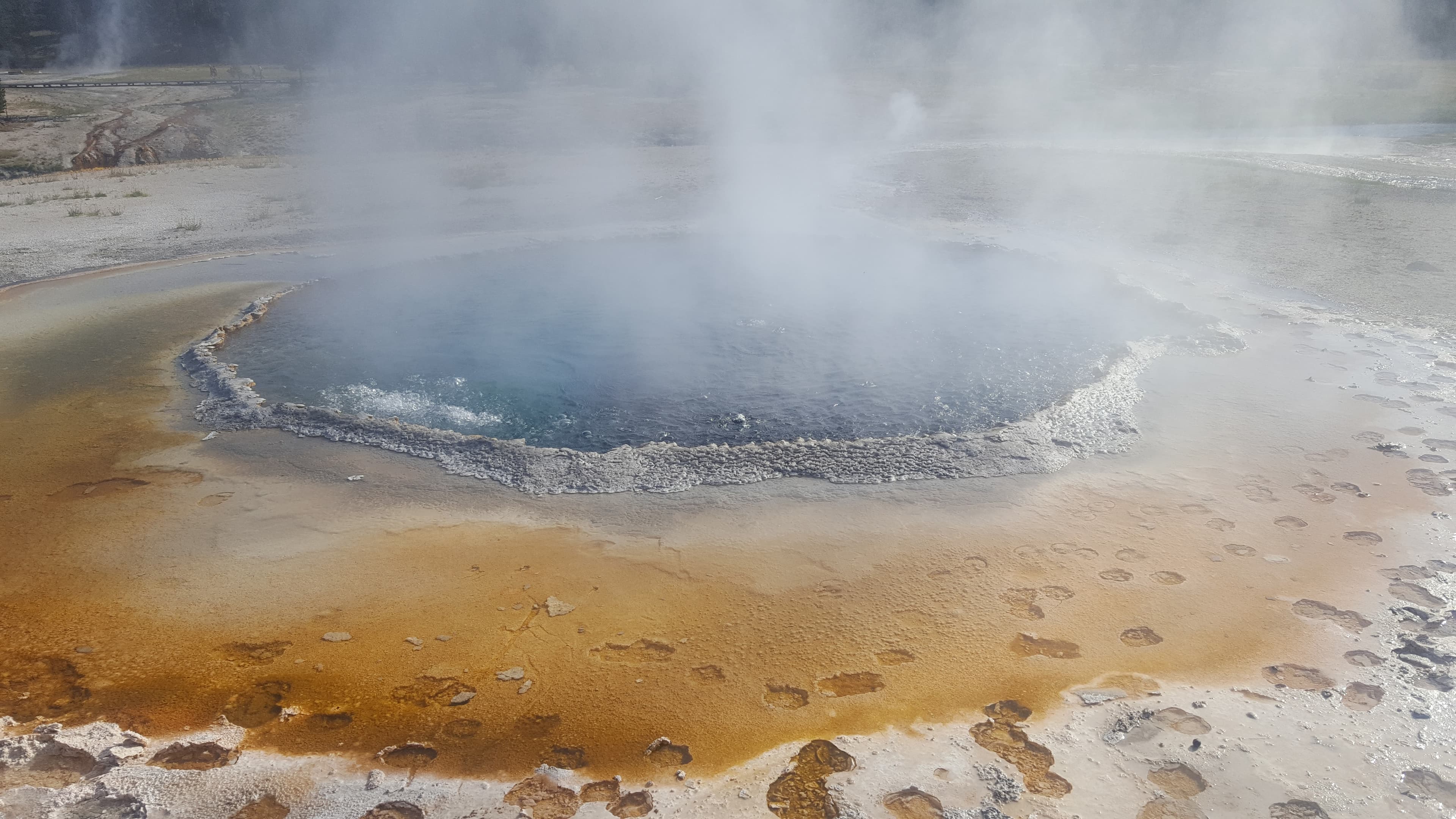 Yellowstone forest and river. The park has pristine high-altitude river ecosystems the bison and wolves depend on.