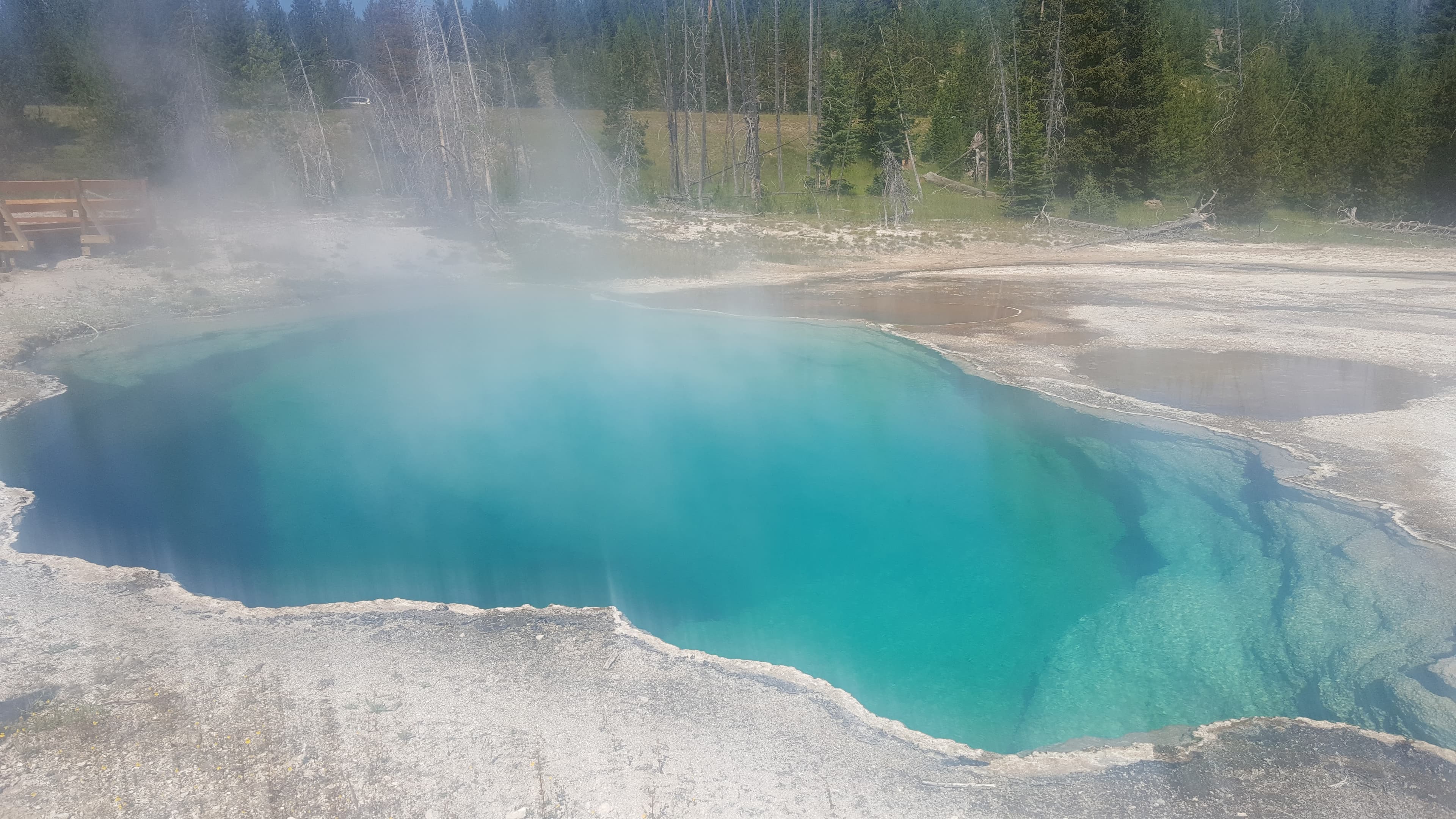 Norris Geyser Basin steam. The highest-temperature surface geothermal area in the park.