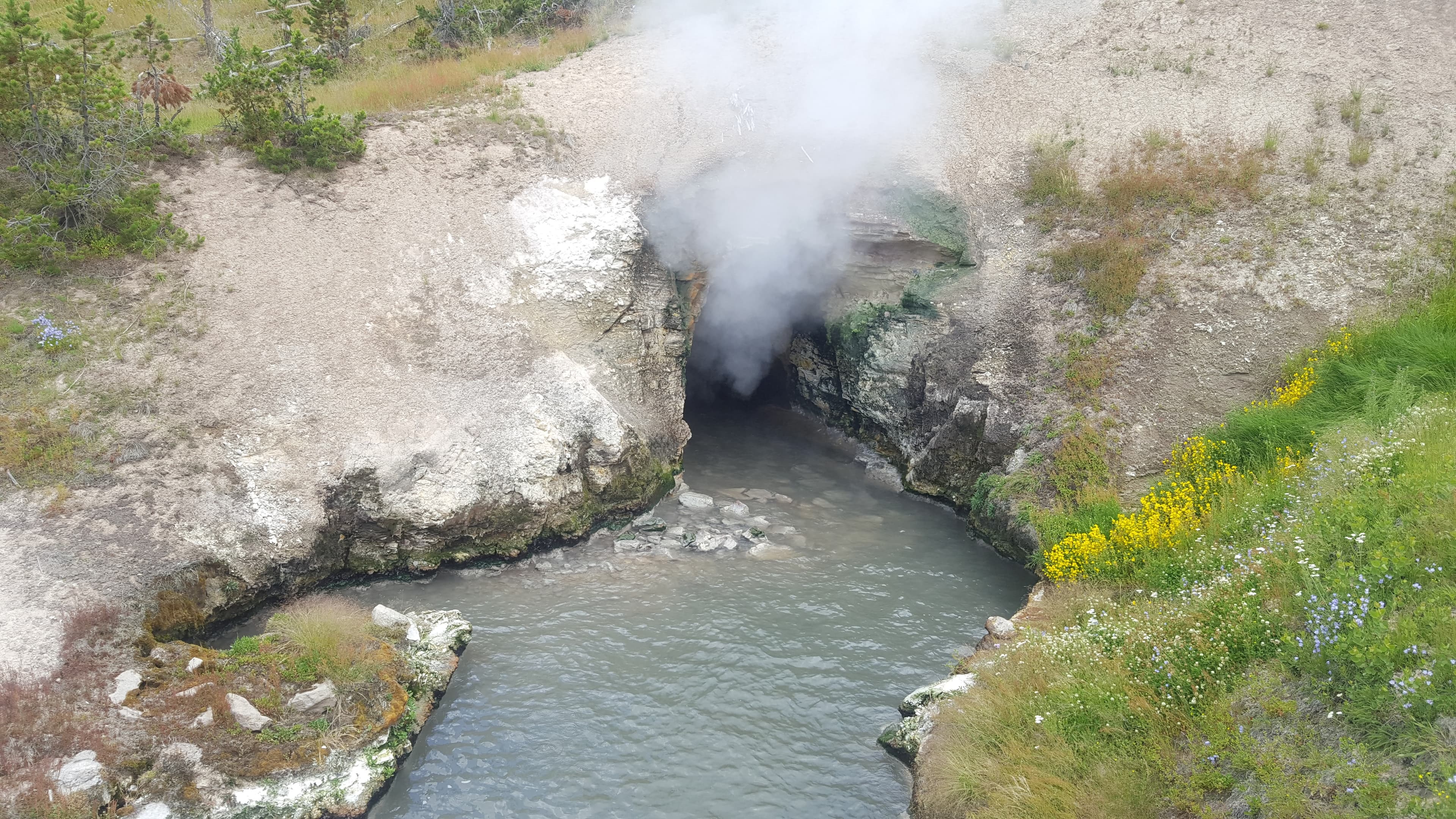 Mud pots. Acidic geothermal features that bubble and gulp; less photogenic than geysers but stranger.