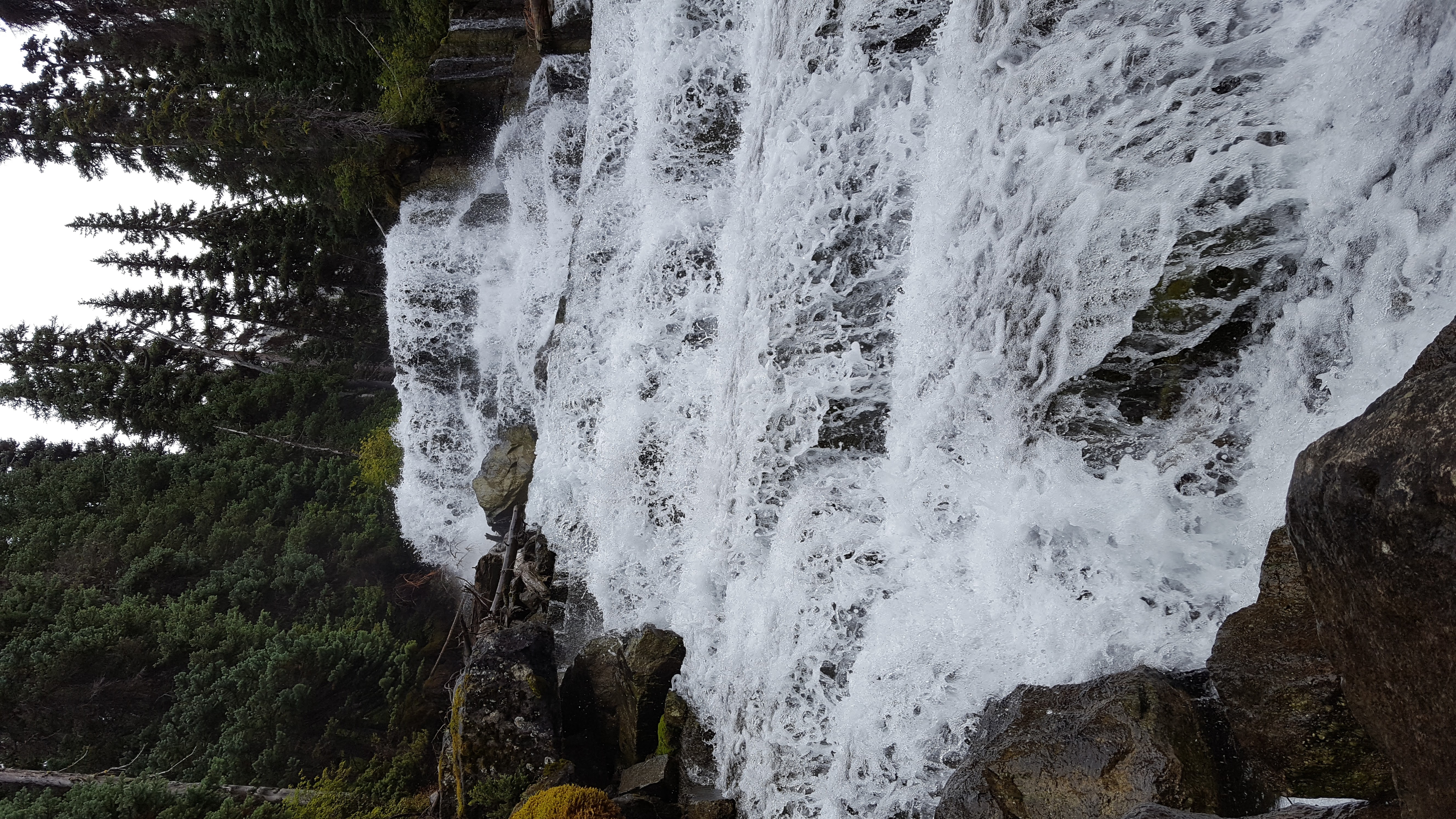 Vancouver North Shore mountains reflected in Burrard Inlet with Stanley Park forest in the foreground