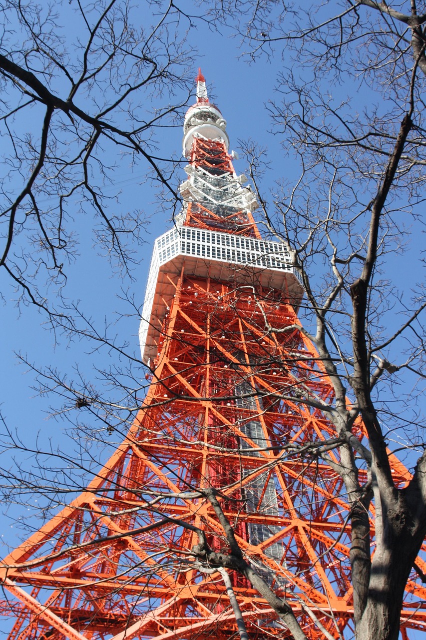 Tokyo Tower lit in orange at night with the city lights spreading to the horizon below