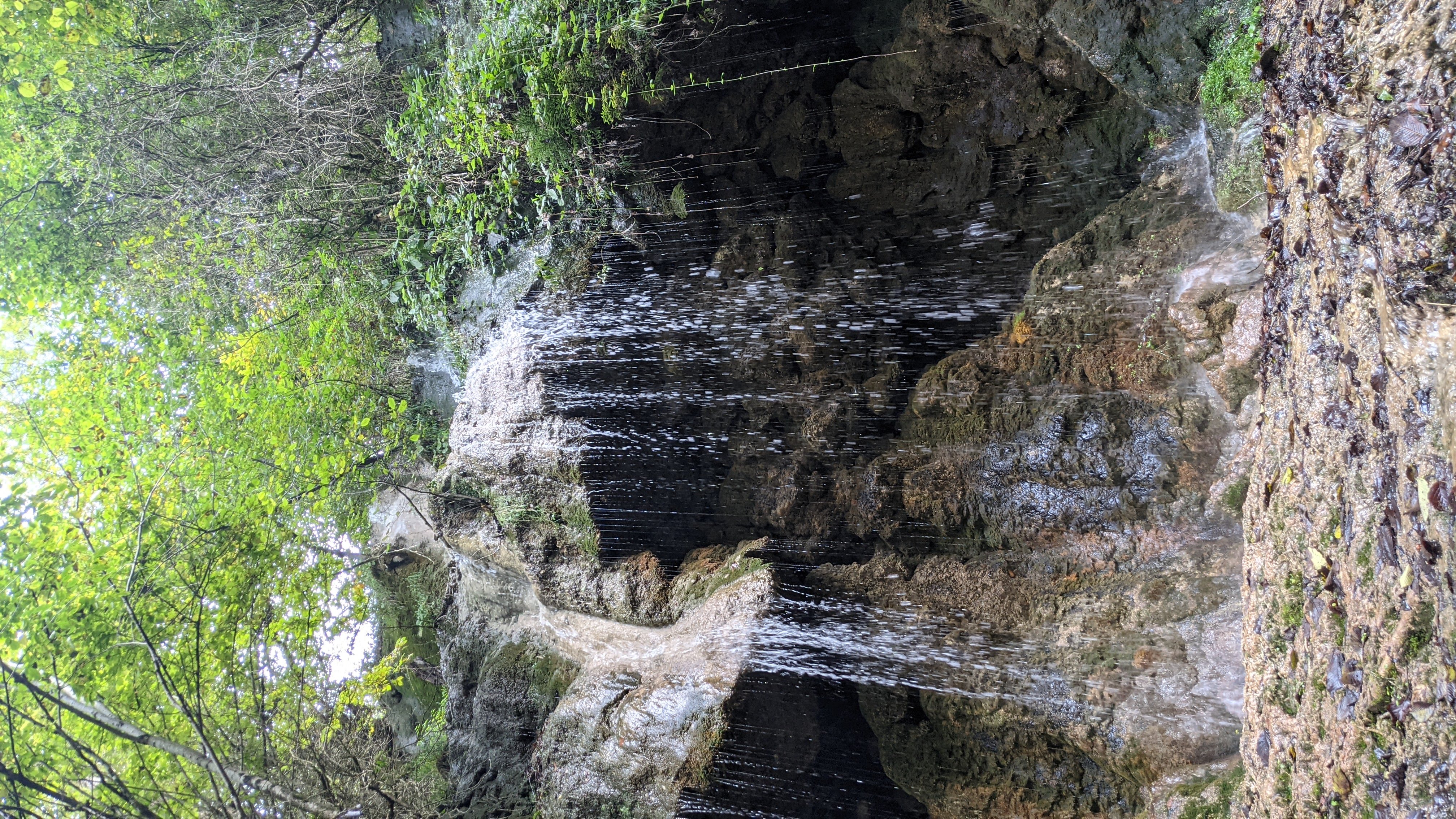 Giresun harbour and coastline with forested hills rising steeply behind the Black Sea town