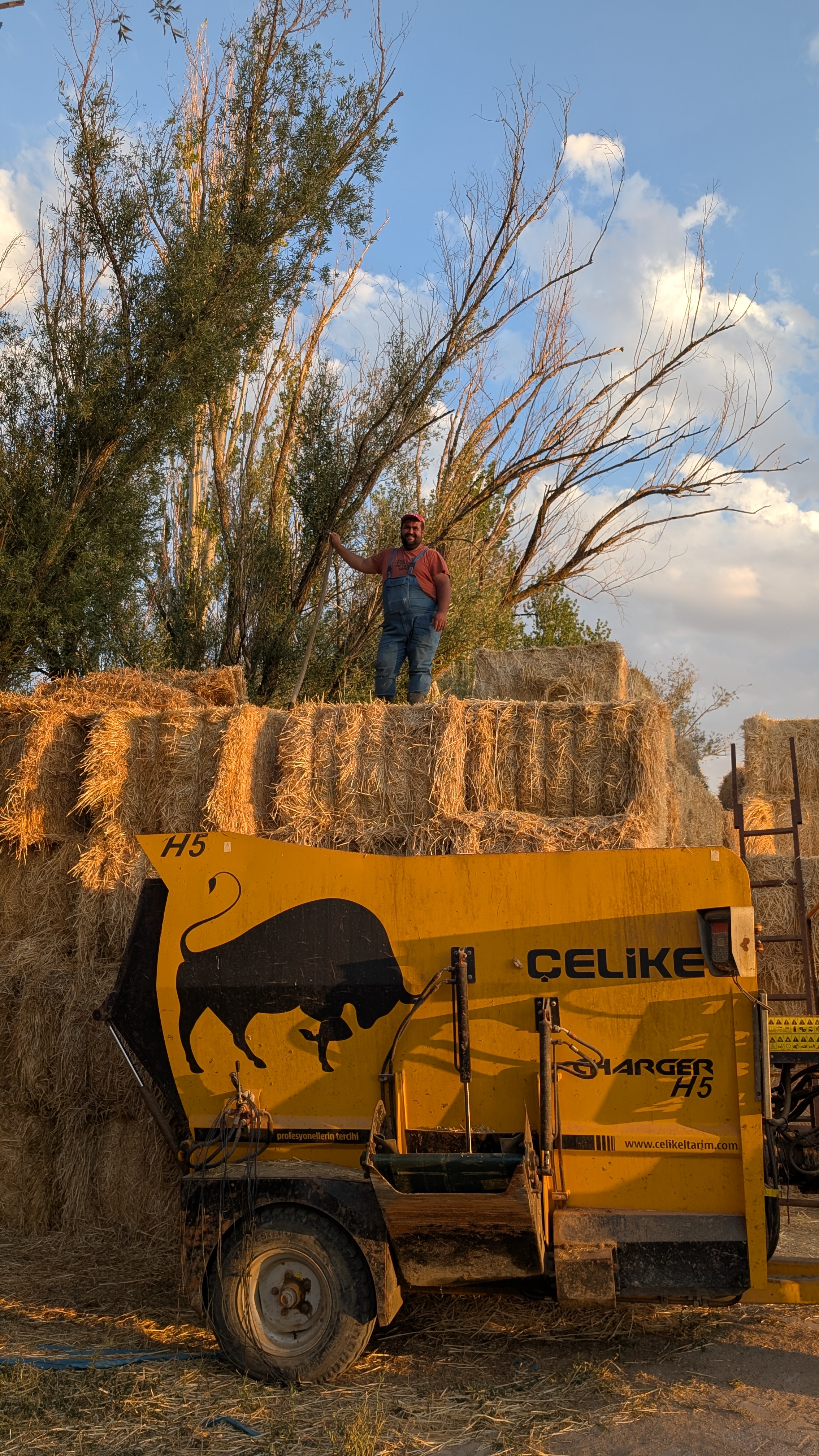 Cappadocia fairy chimneys and tuff formations in the Göreme valley at golden hour