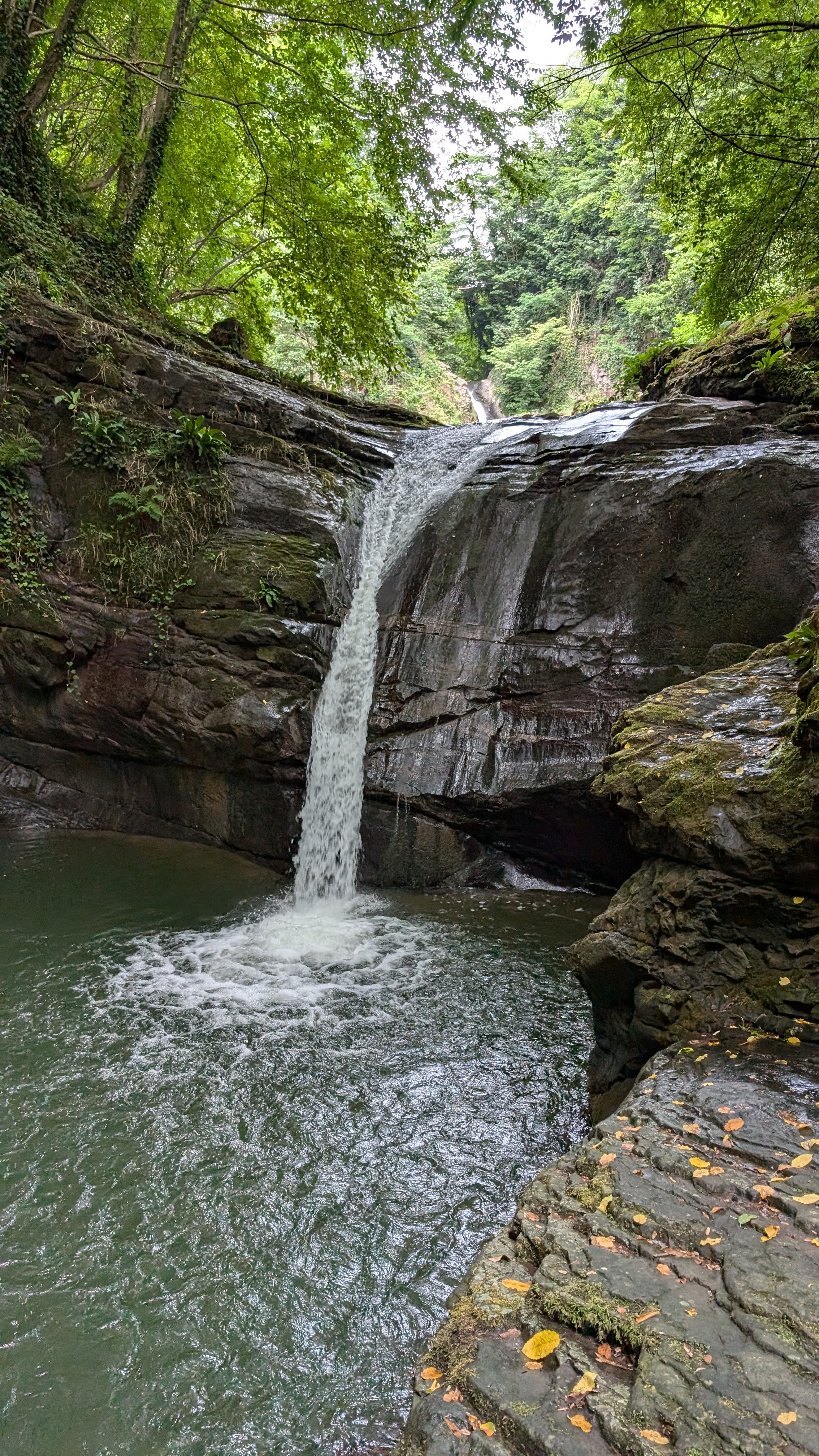 Waterfall in dense forest with turquoise pool, Black Sea mountains