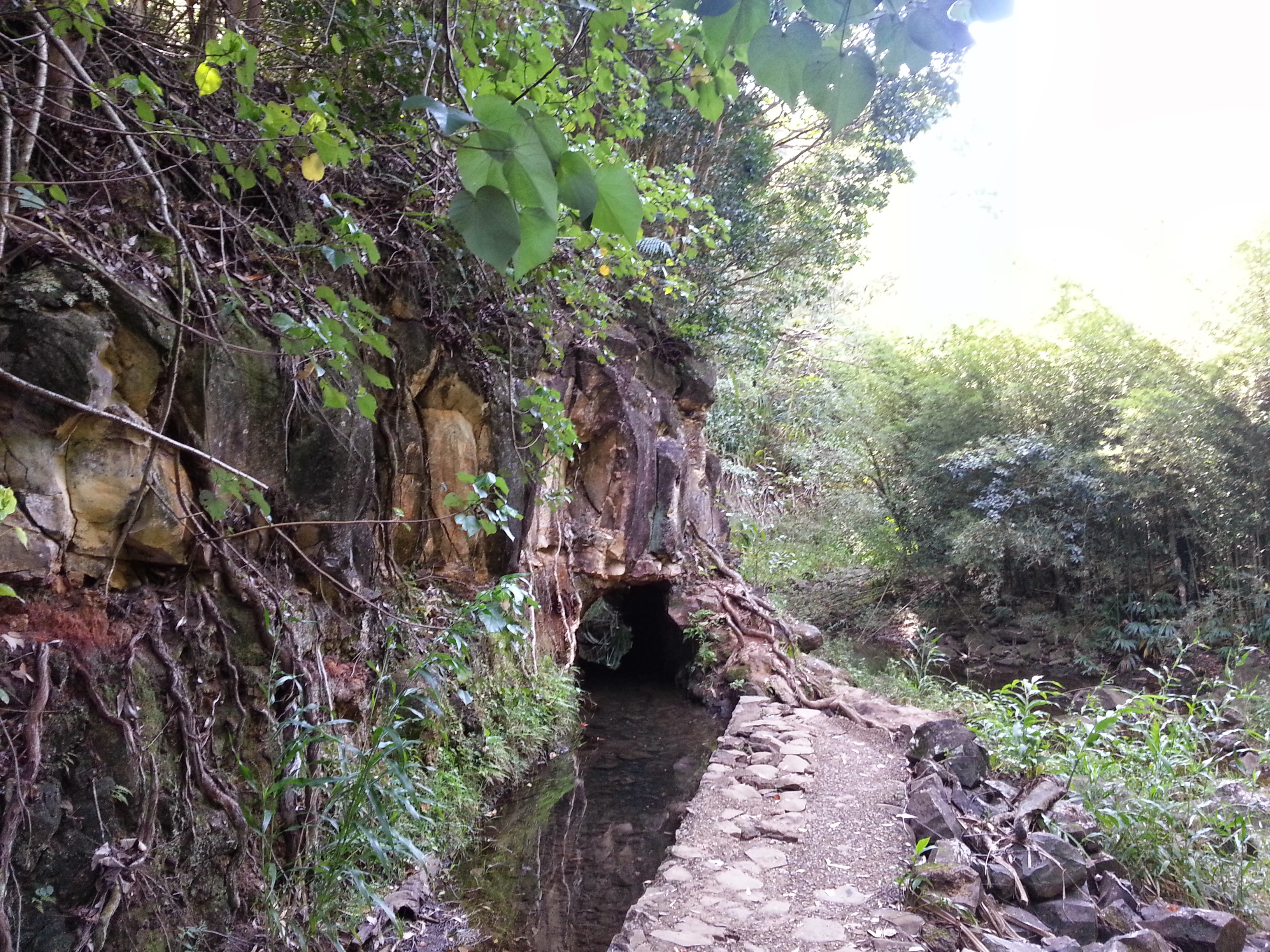 Maui coastal cliffs and rainforest along the Road to Hana with waterfalls and turquoise Pacific